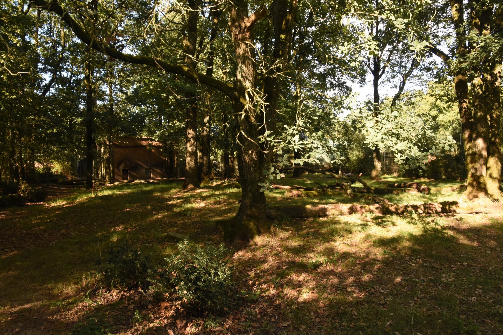Malayan Tiger enclosure