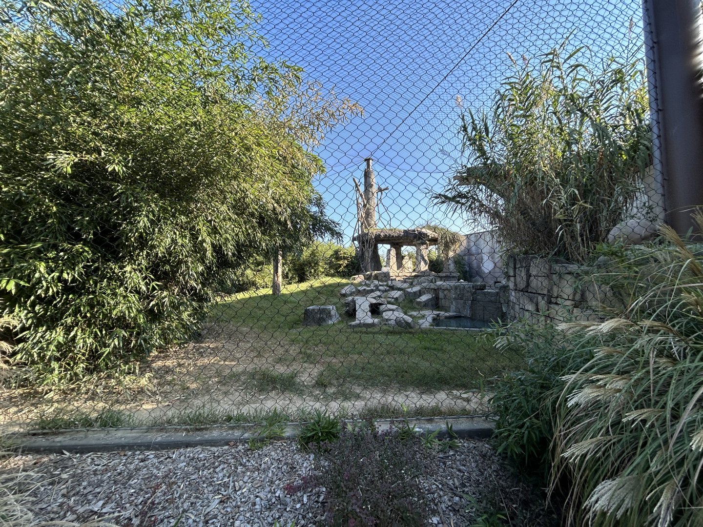 Malayan Tiger Exhibit #1 - Asian Trek