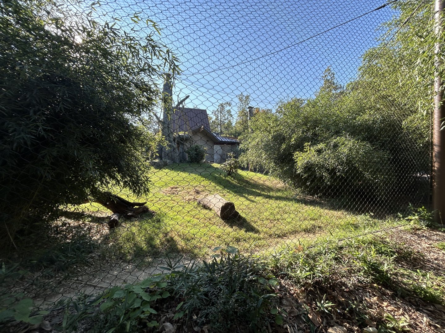 Malayan Tiger Exhibit #1 - Asian Trek
