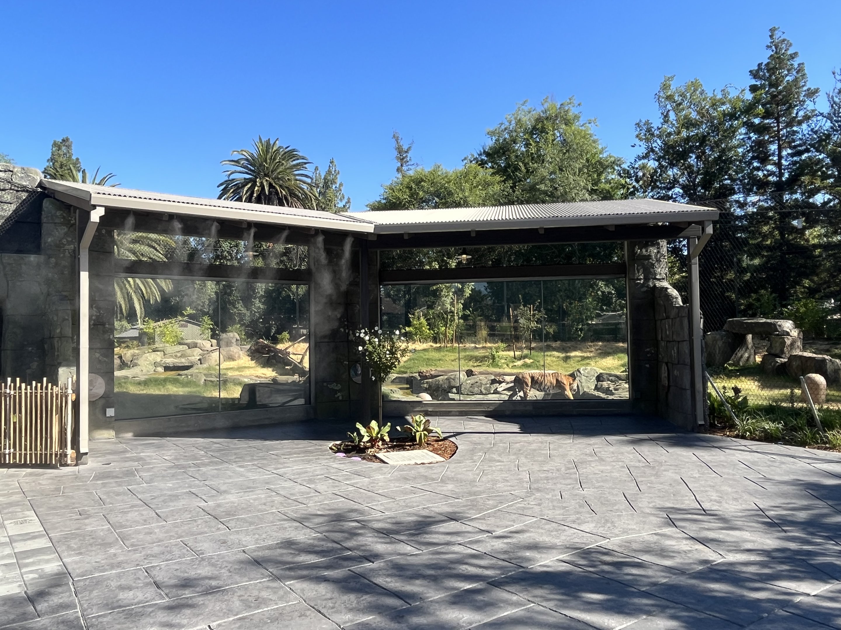 Malayan Tiger Exhibit #1 - New in 2023