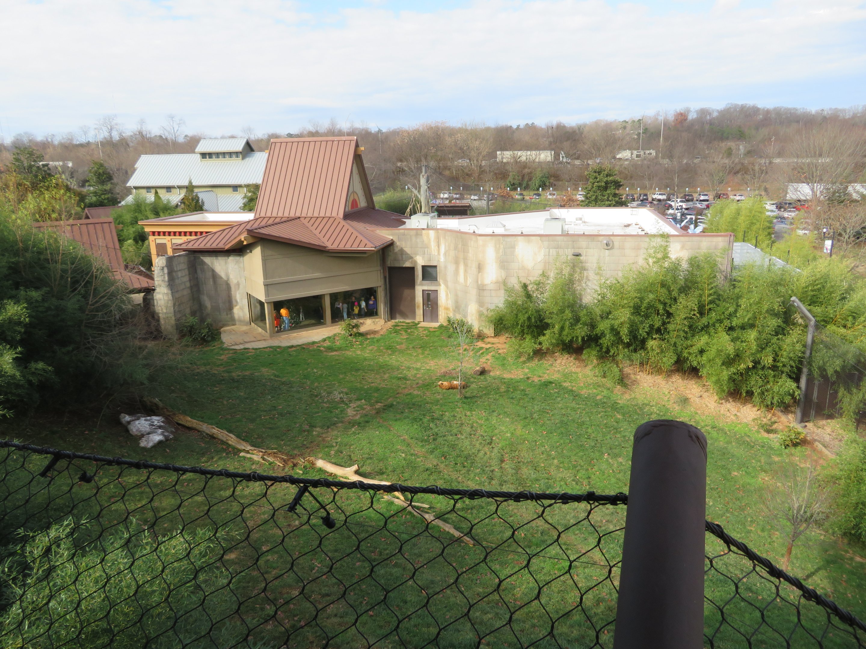 Malayan Tiger Exhibit (1 of 2)