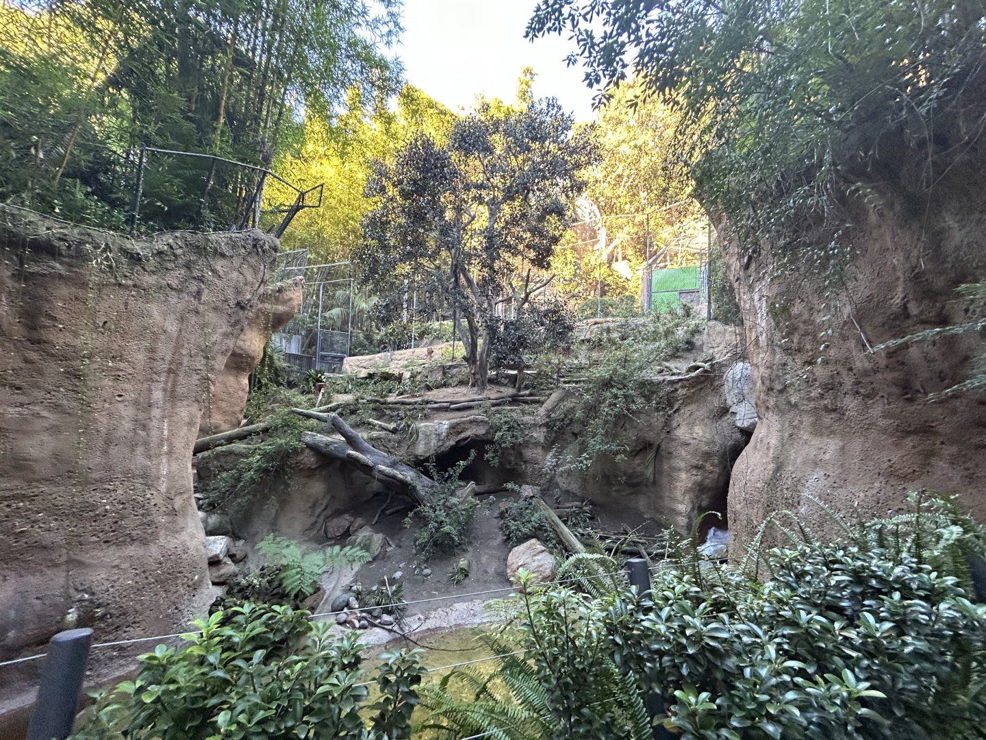 Malayan Tiger Exhibit #1 - Tiger River
