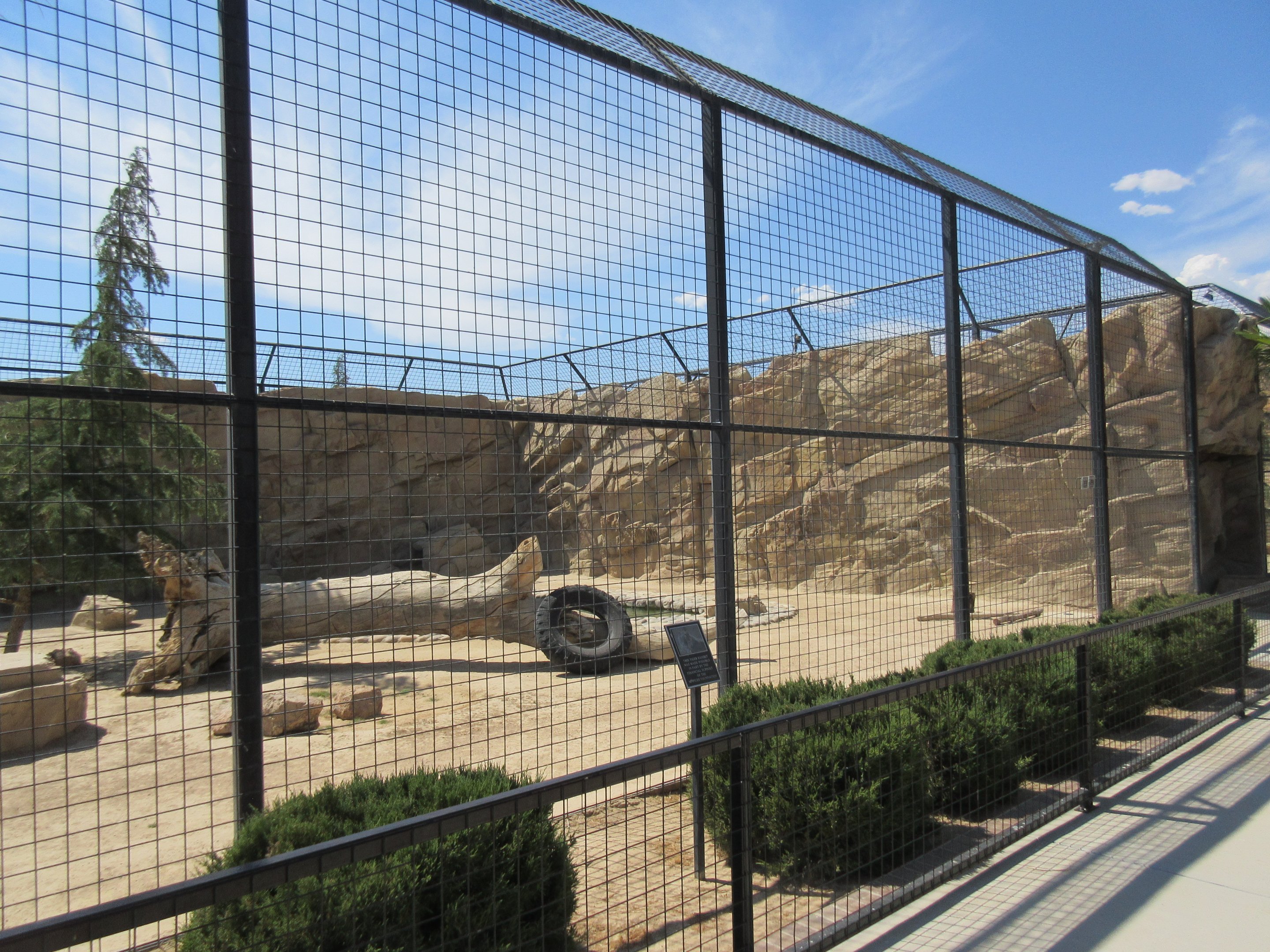 Malayan Tiger Exhibit #1