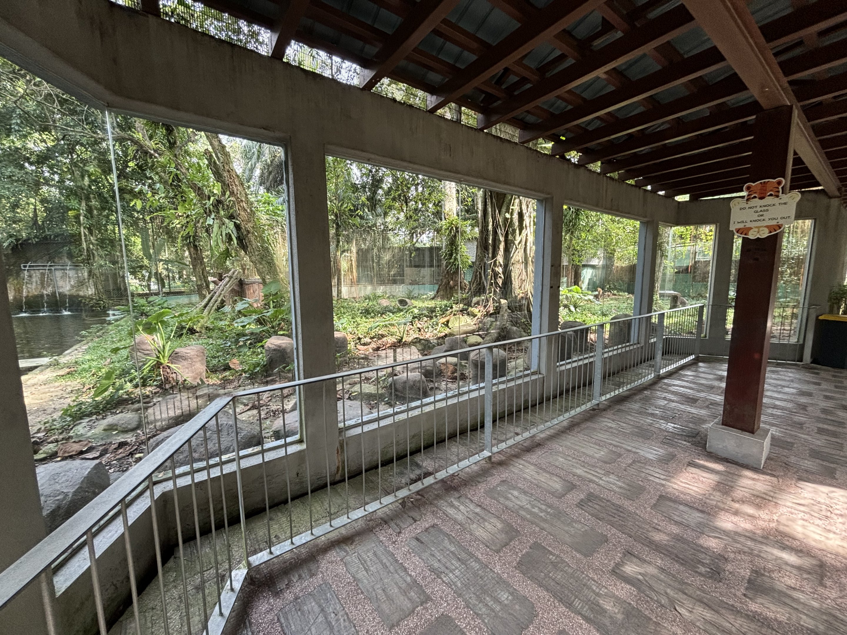 Malayan Tiger Exhibit #1