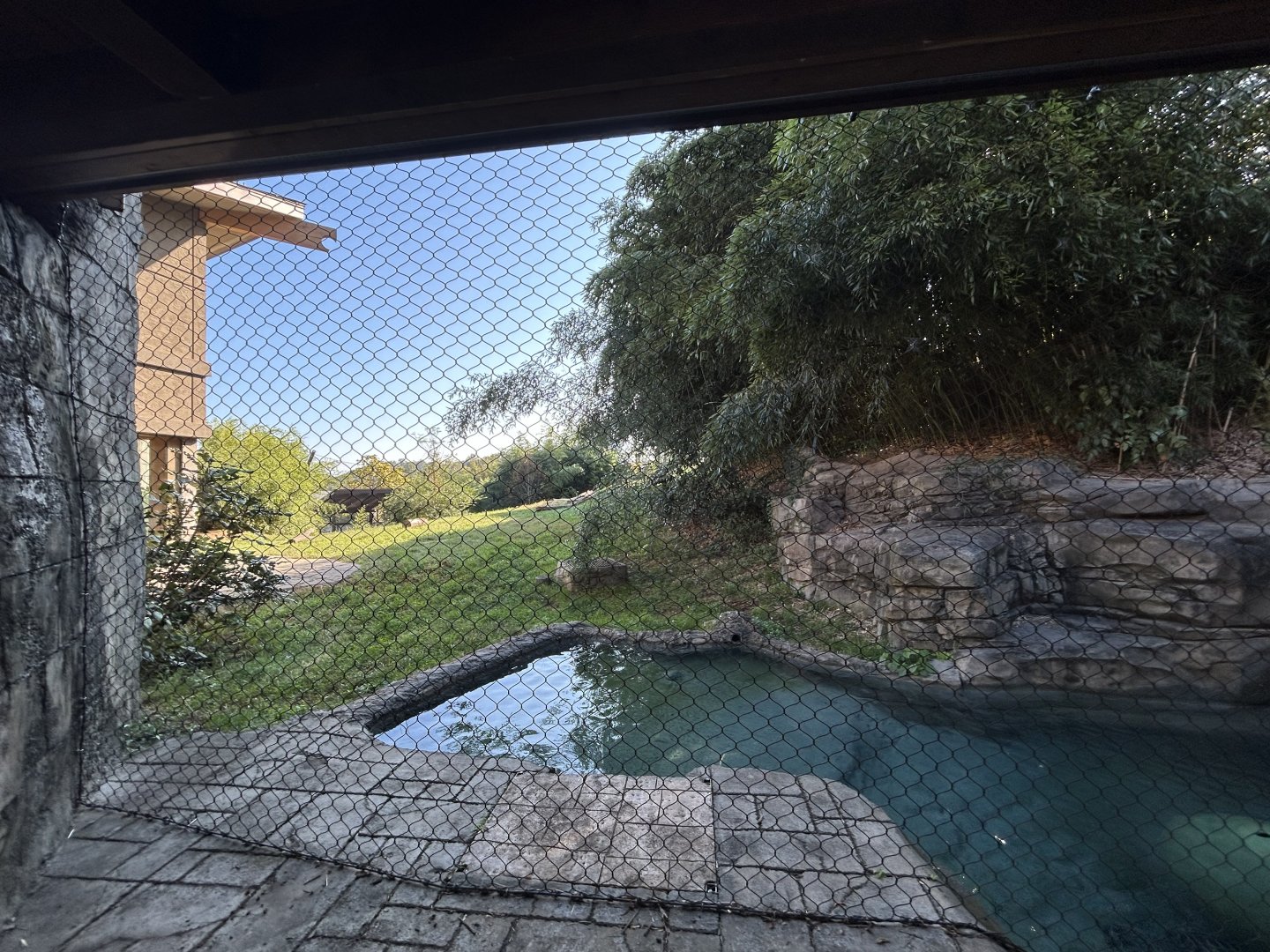 Malayan Tiger Exhibit #2 - Asian Trek