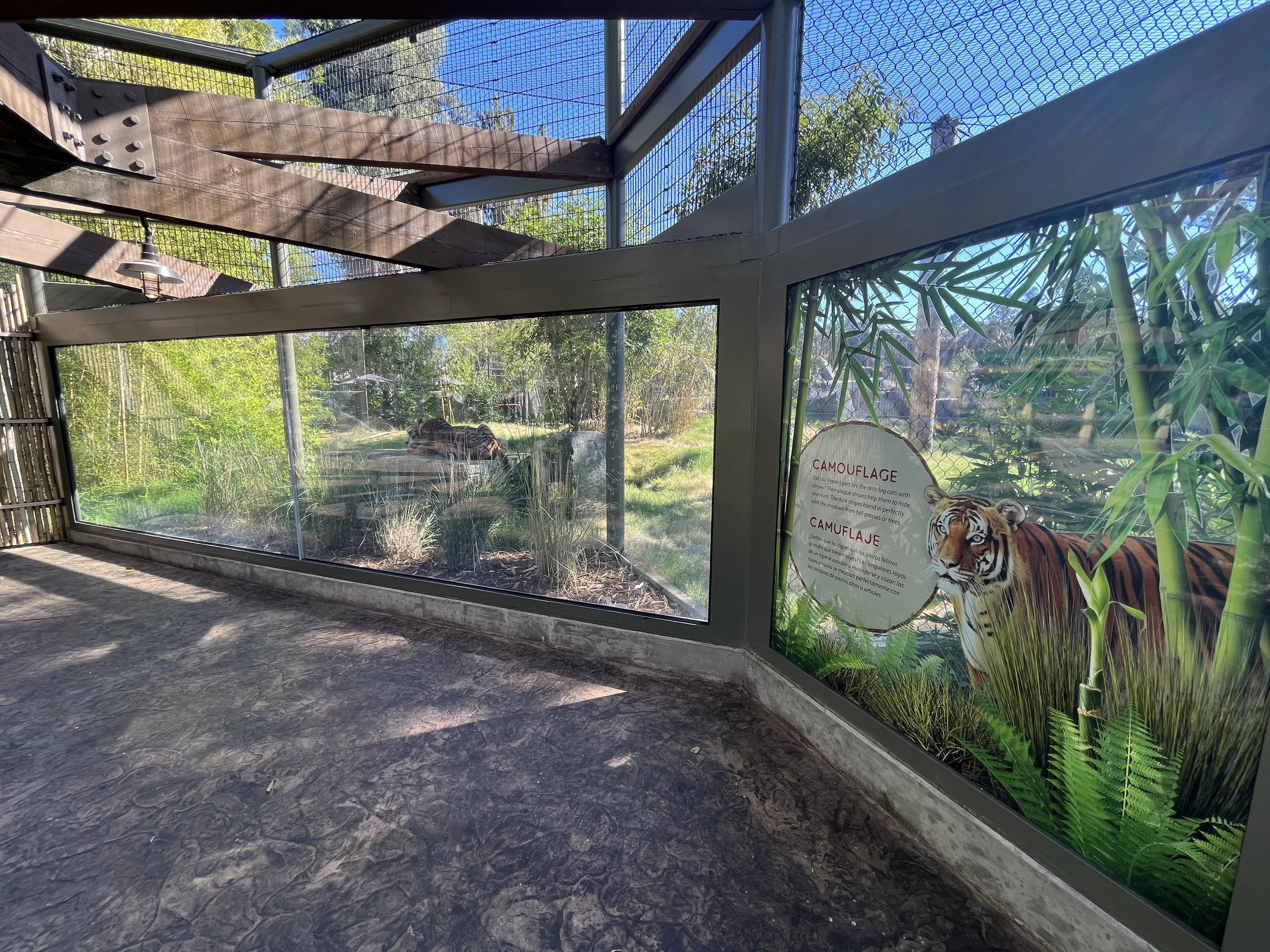 Malayan Tiger Exhibit #2 - New in 2023
