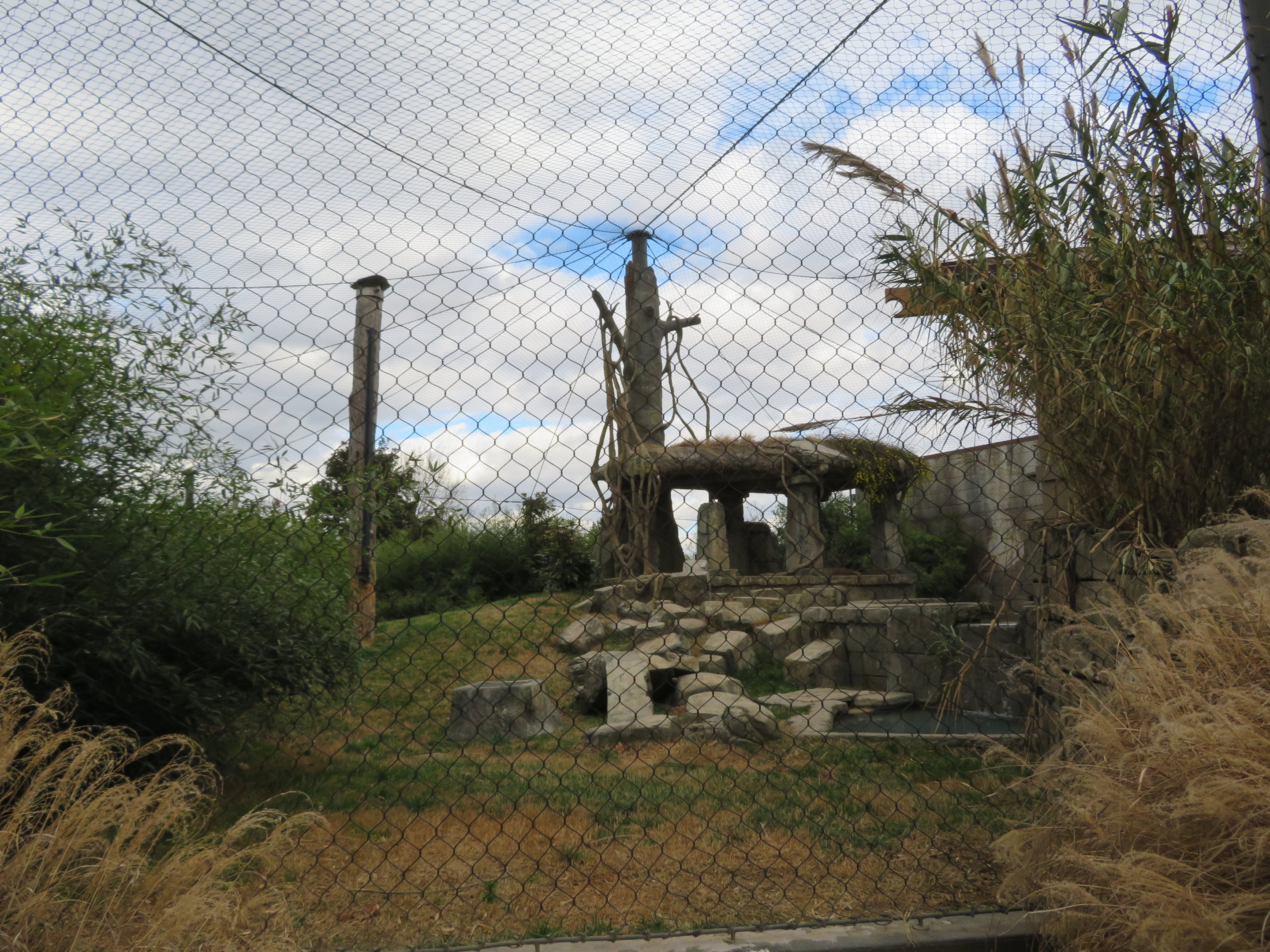 Malayan Tiger Exhibit (2 of 2)