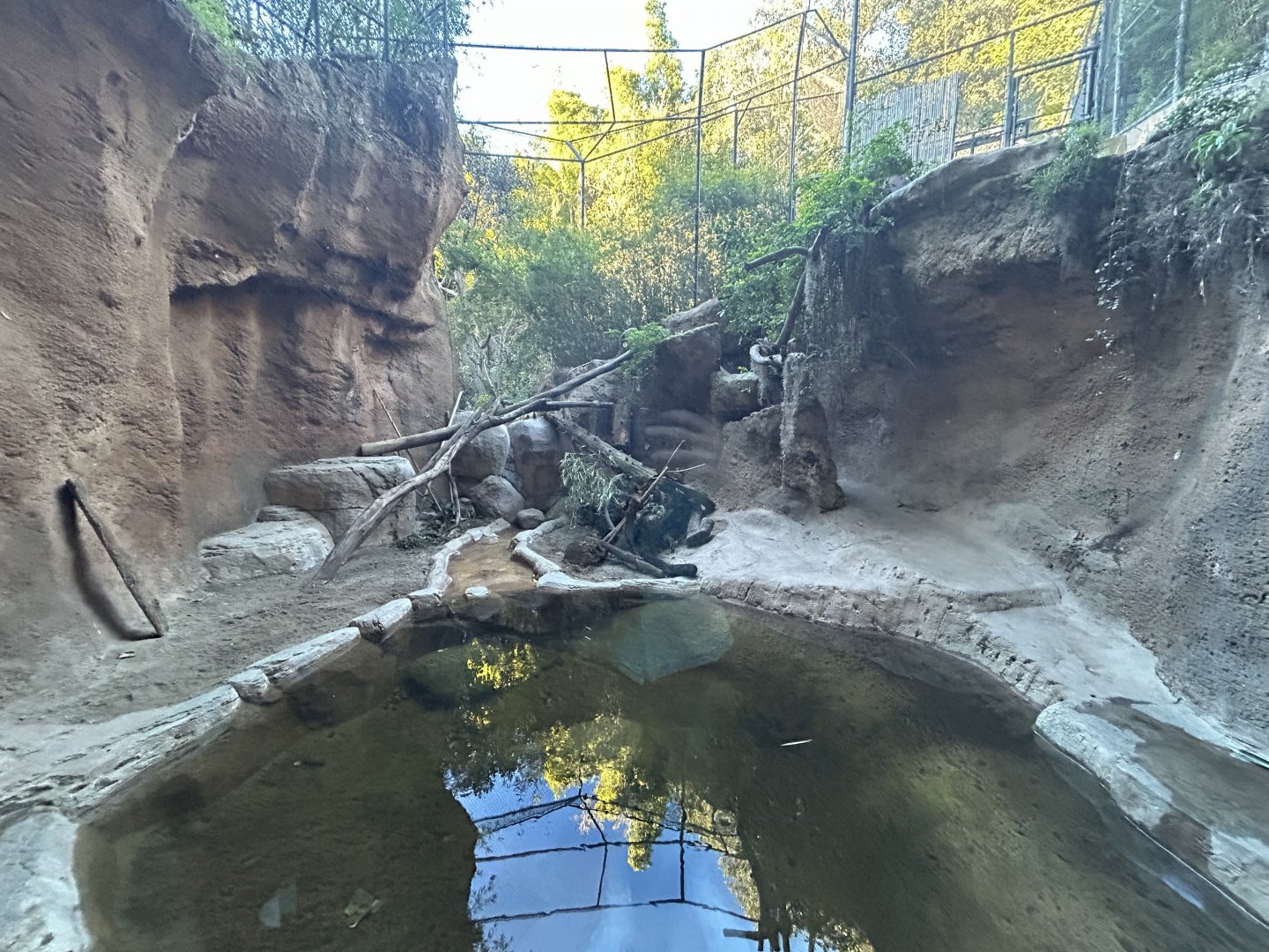 Malayan Tiger Exhibit #2 - Tiger River