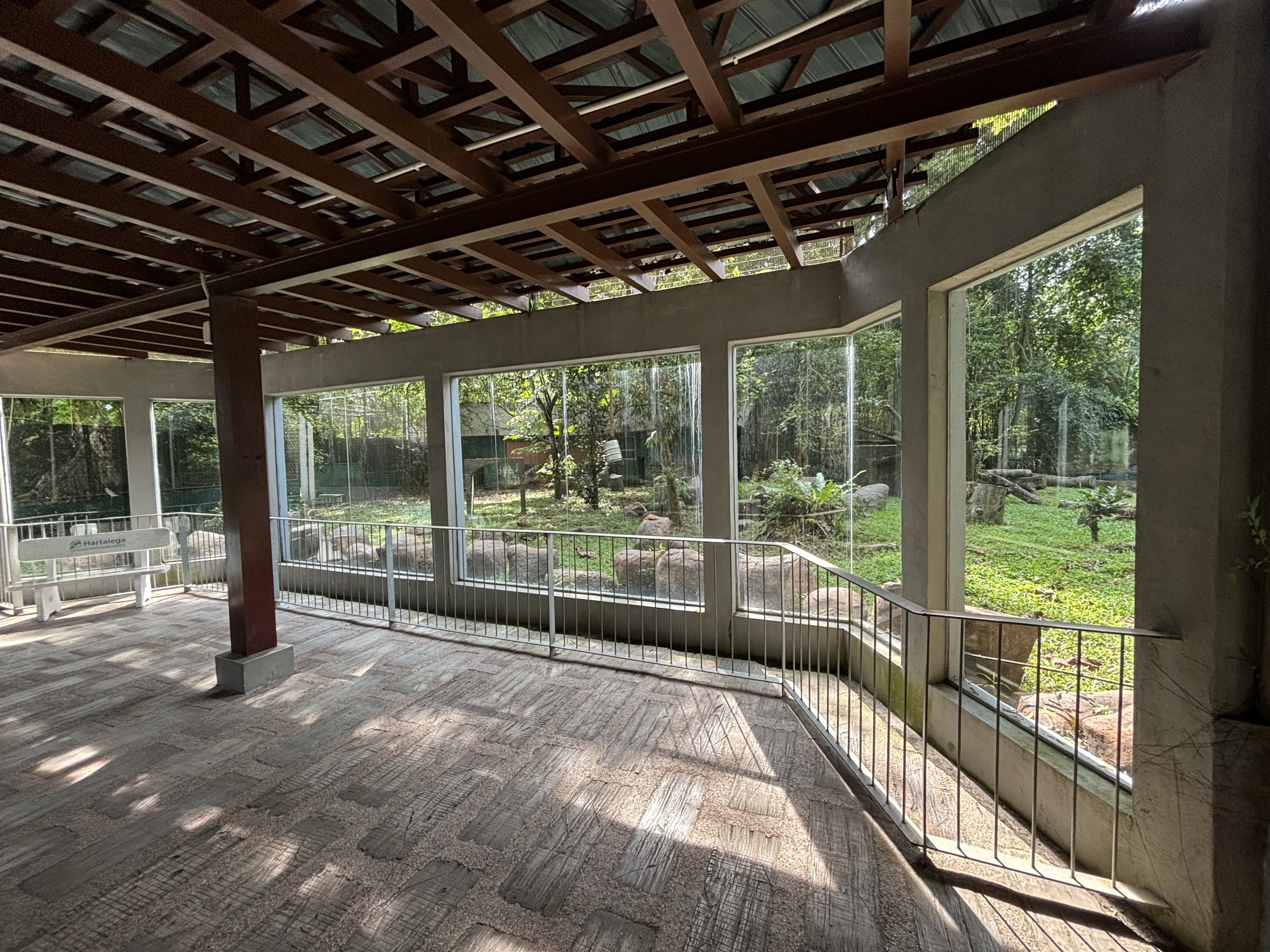 Malayan Tiger Exhibit #2