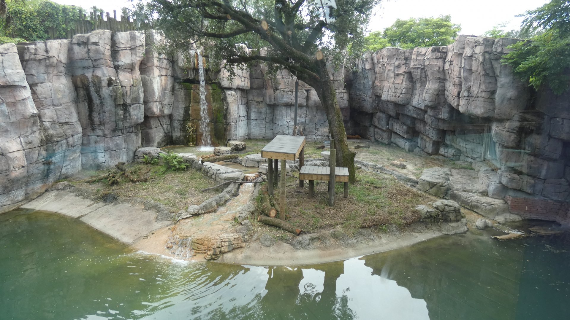 Malayan Tiger Exhibit, Asian Gardens - Aug. 2021