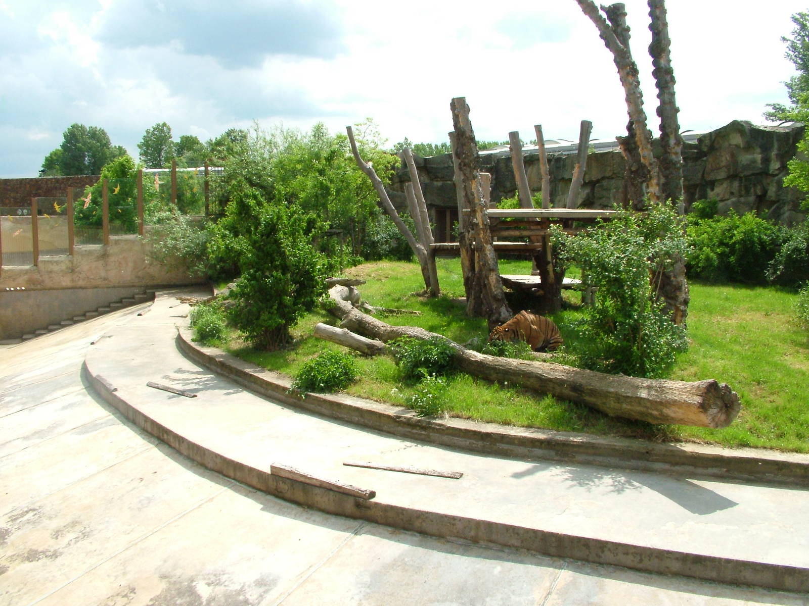 Malayan Tiger exhibit at Prague, 24/05/10