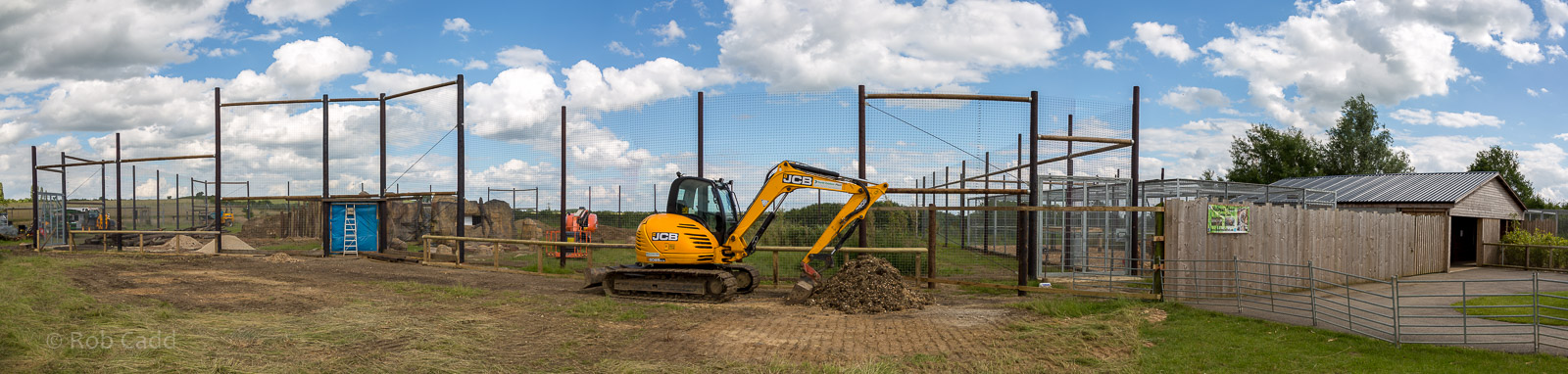 Malayan tiger (exhibit) : Hamerton : 03 Jul 2016