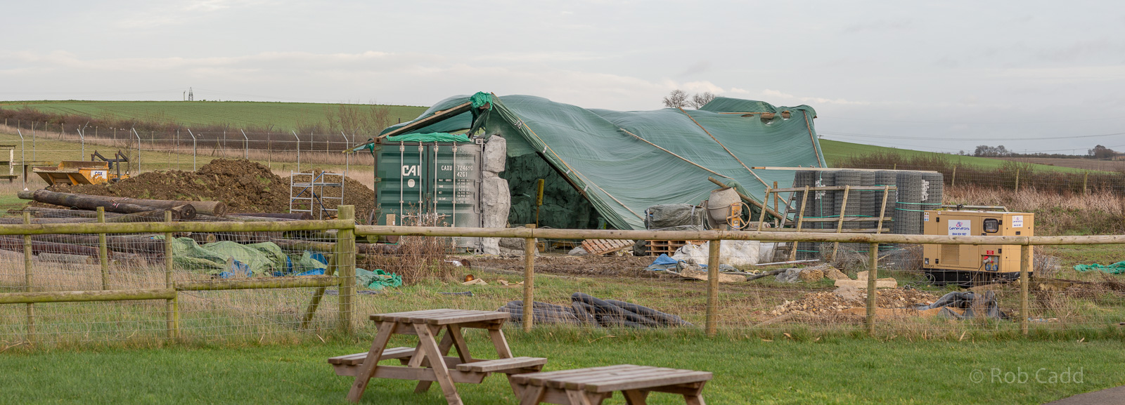 Malayan tiger (exhibit) : Hamerton : 06 Dec 2015