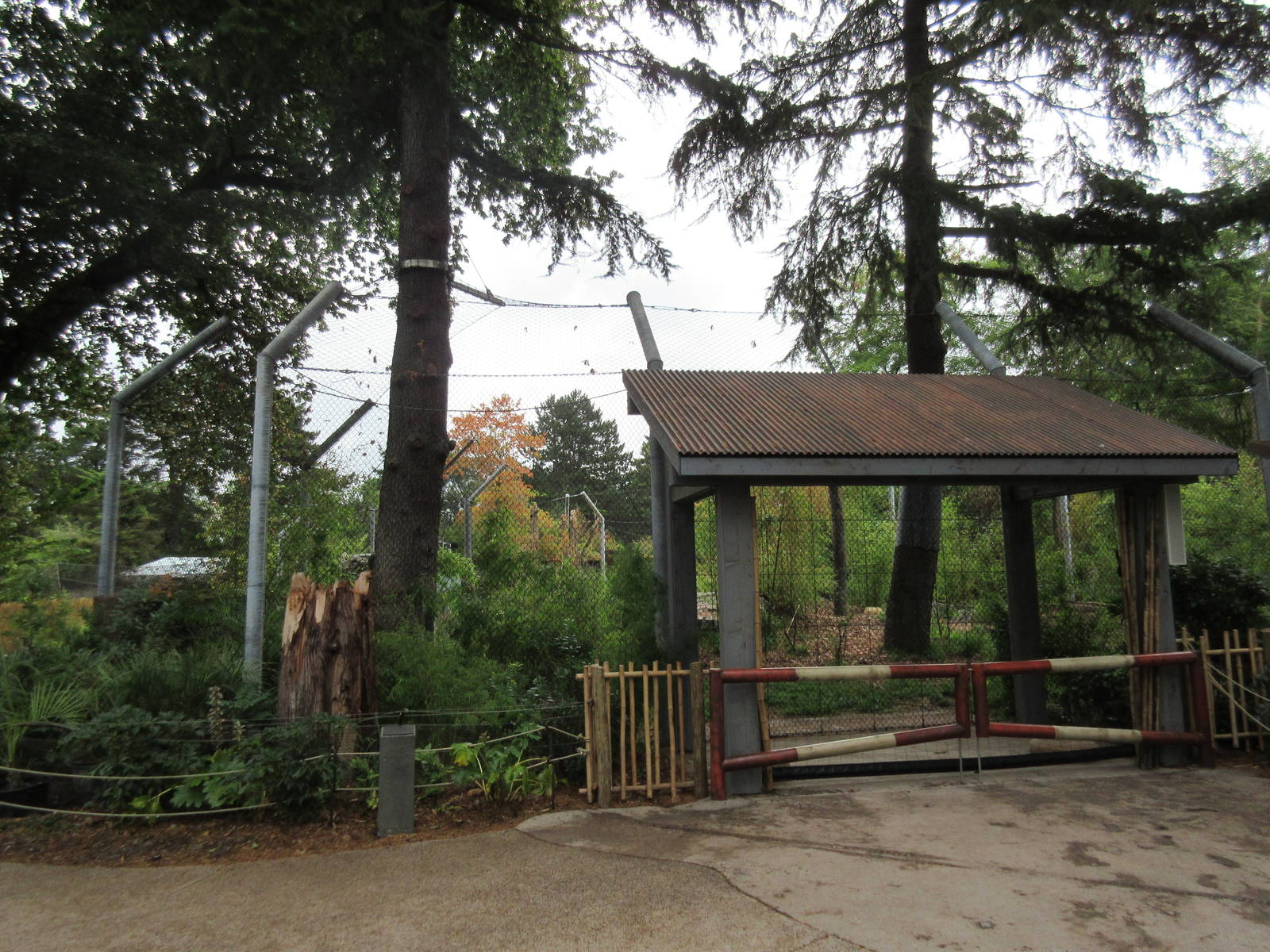 Malayan Tiger Exhibit (New in 2015)