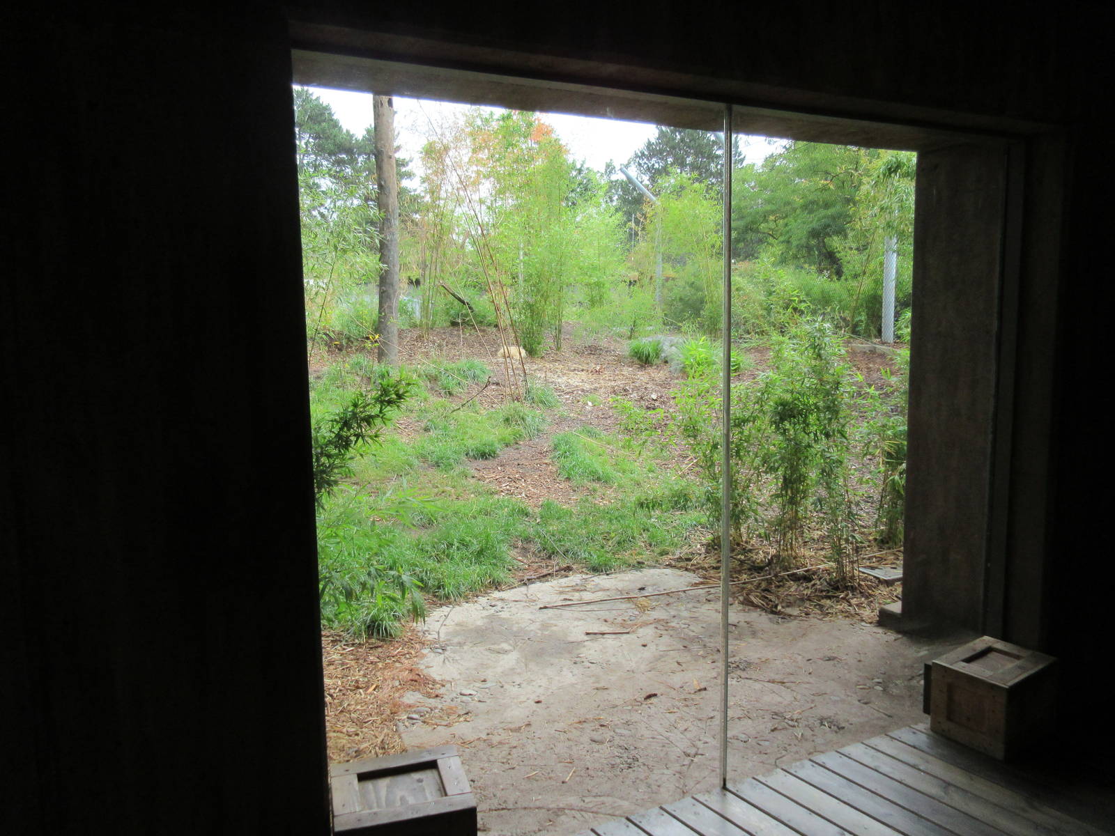 Malayan Tiger Exhibit (New in 2015)