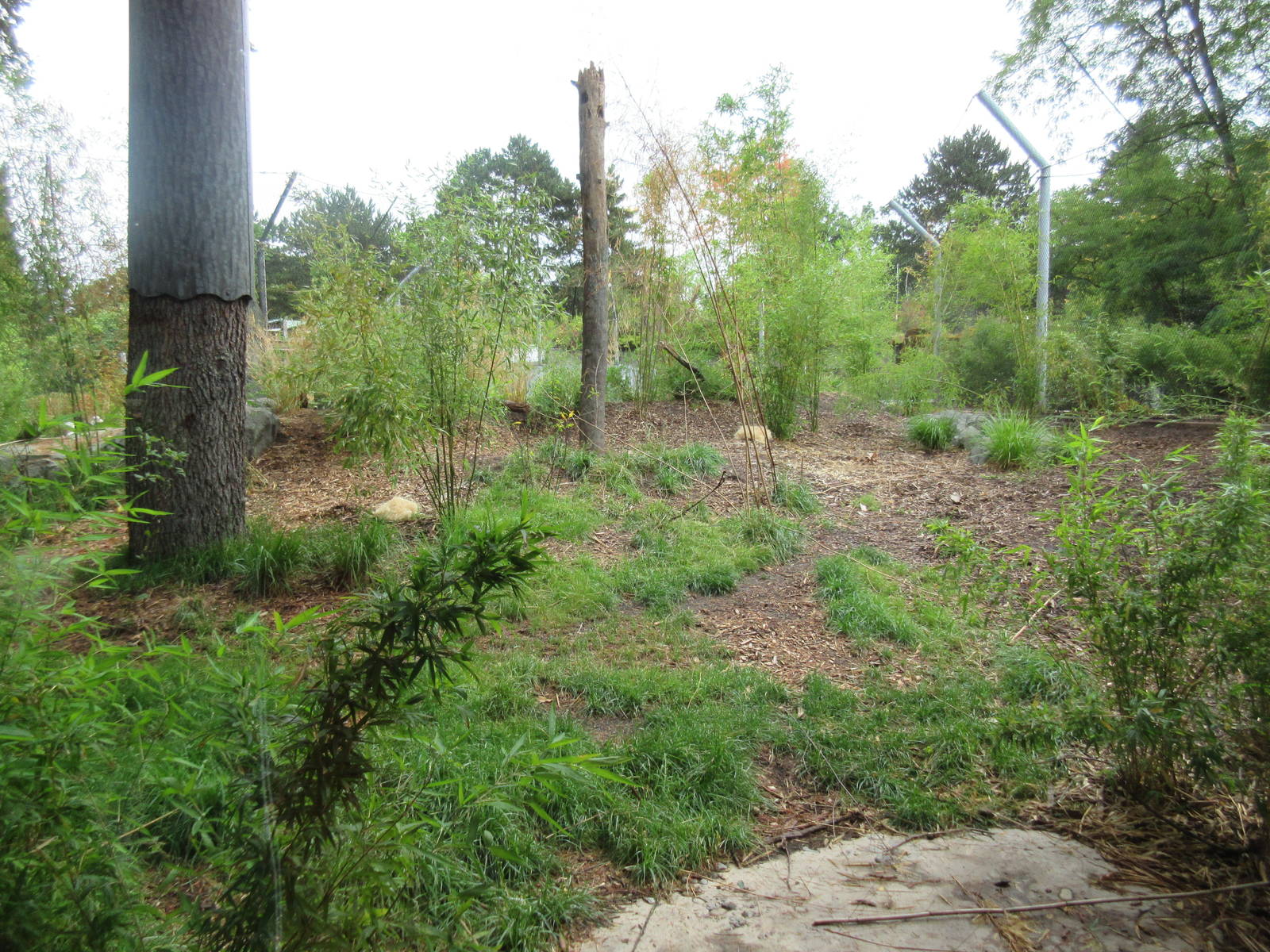 Malayan Tiger Exhibit (New in 2015)