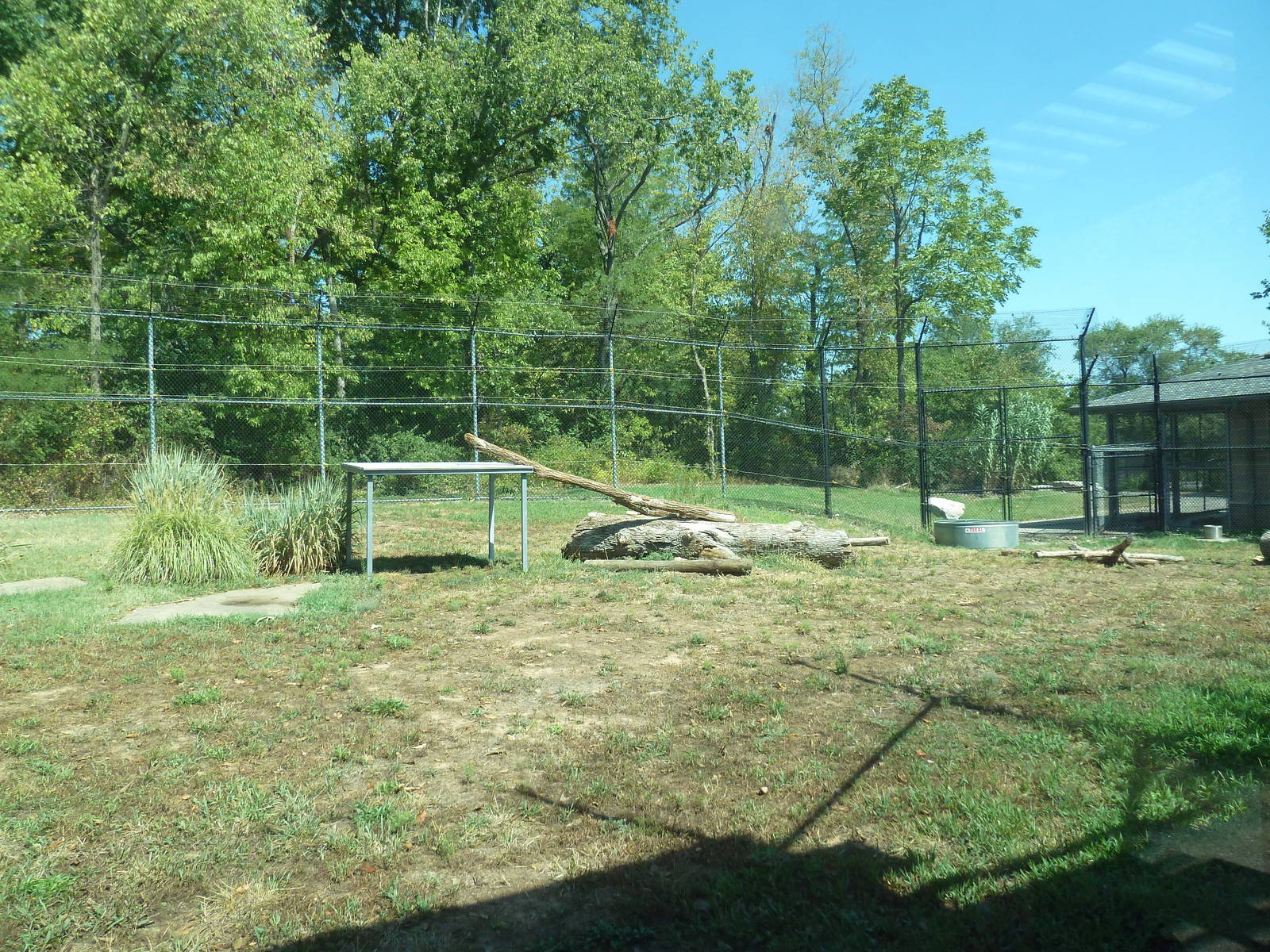 Malayan Tiger Exhibit (there are 2 tiger exhibits in the complex)