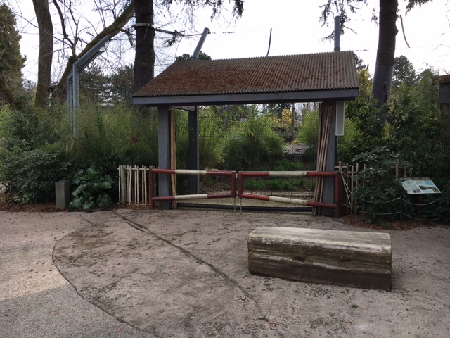 Malayan Tiger Exhibit - Training Wall