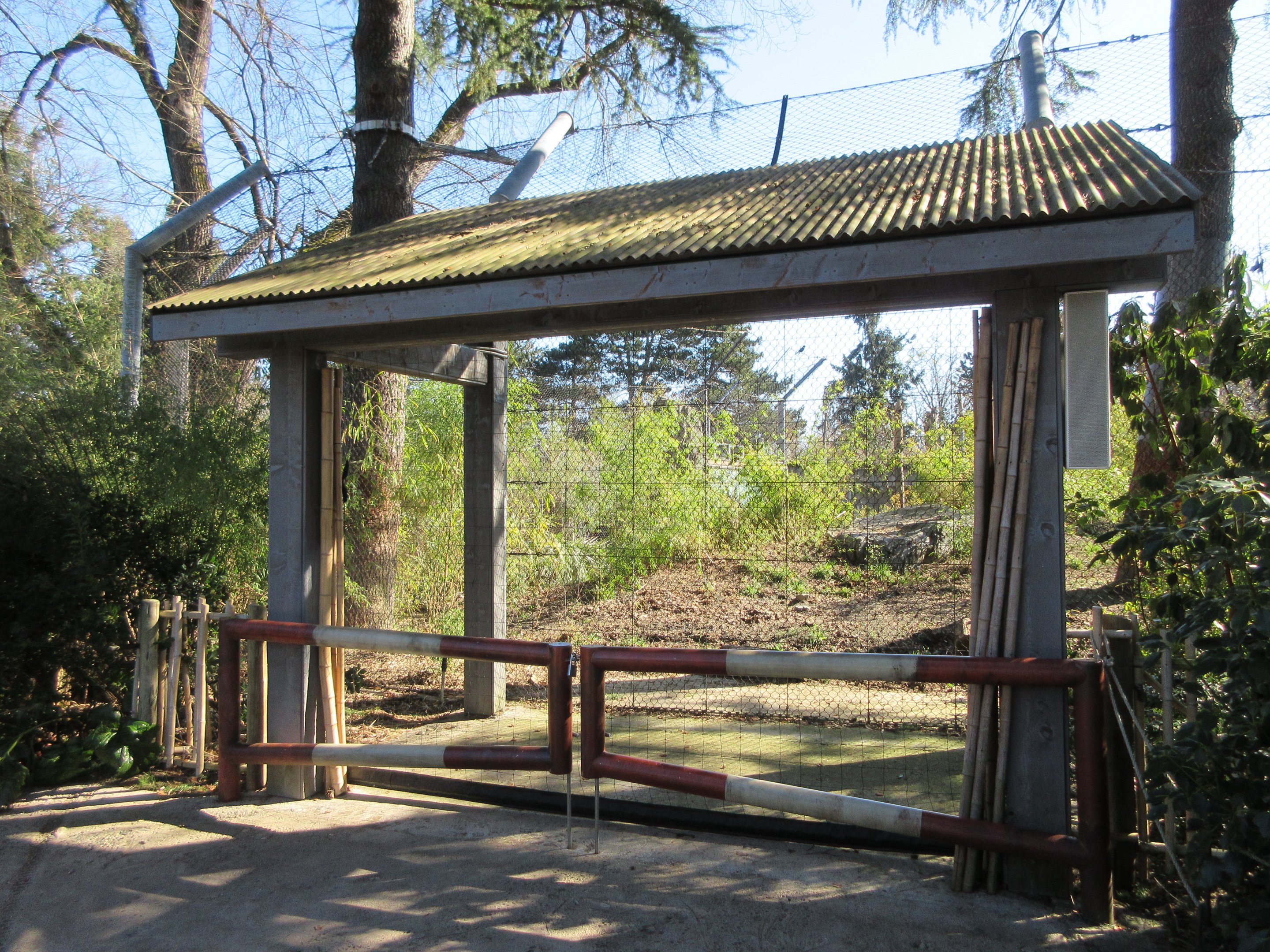 Malayan Tiger Exhibit - Training Wall