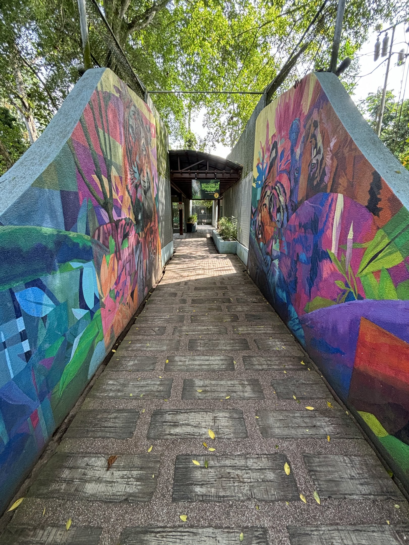 Malayan Tiger Exhibit- visitor pathway