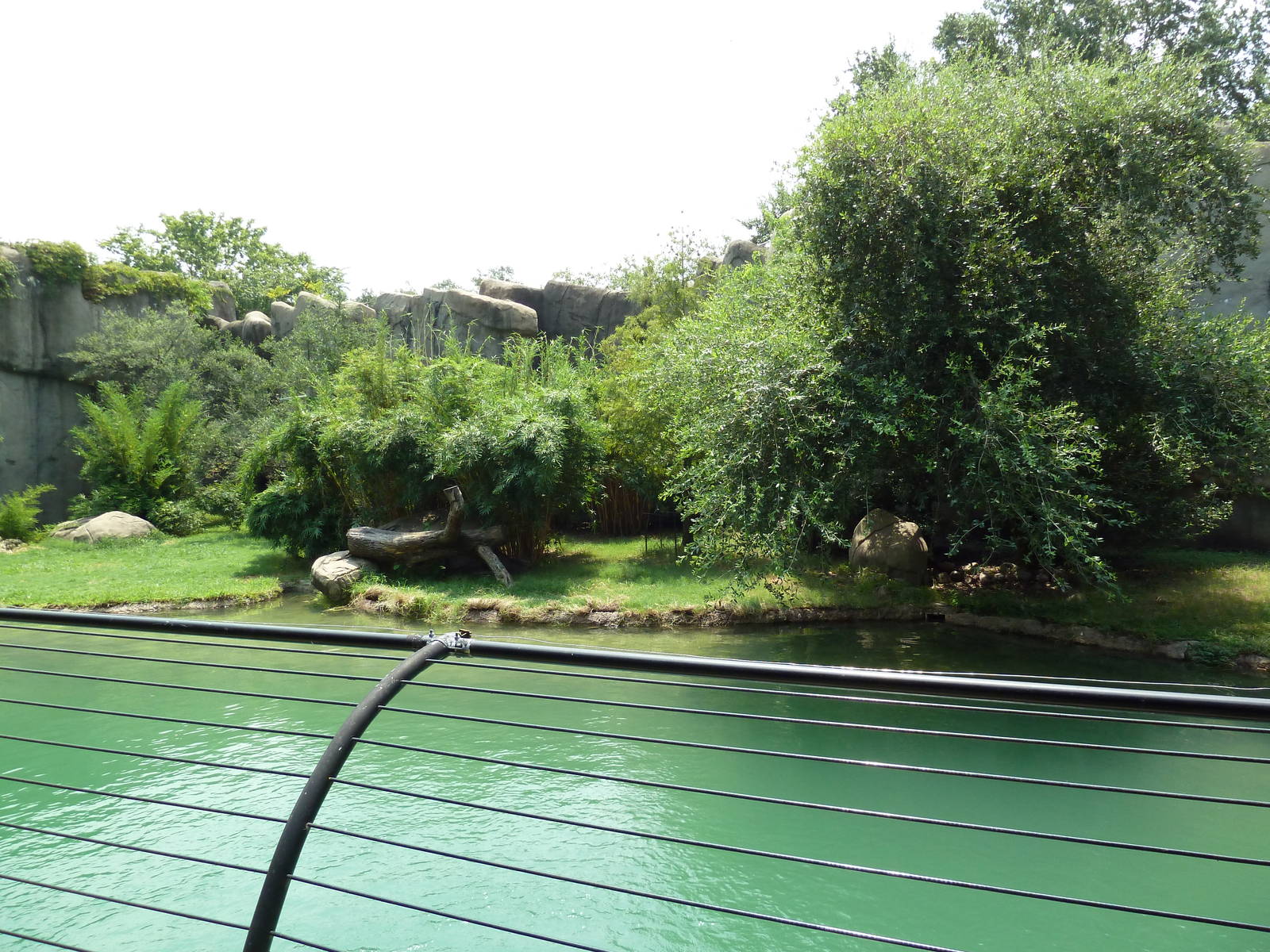 Malayan Tiger Exhibit