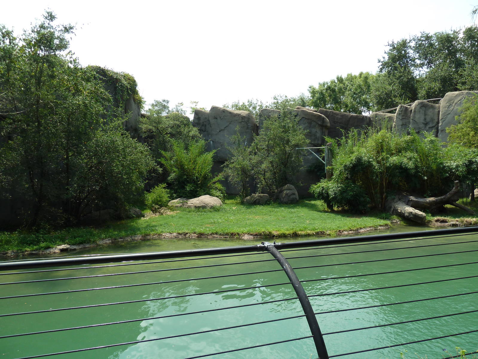 Malayan Tiger Exhibit