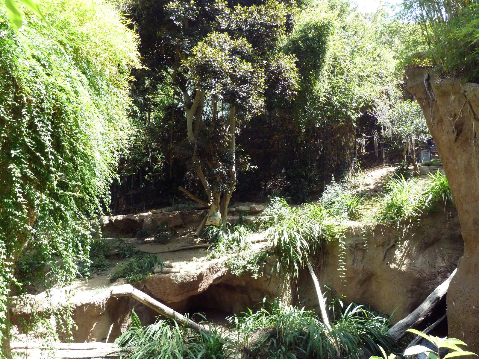 Malayan Tiger Exhibit