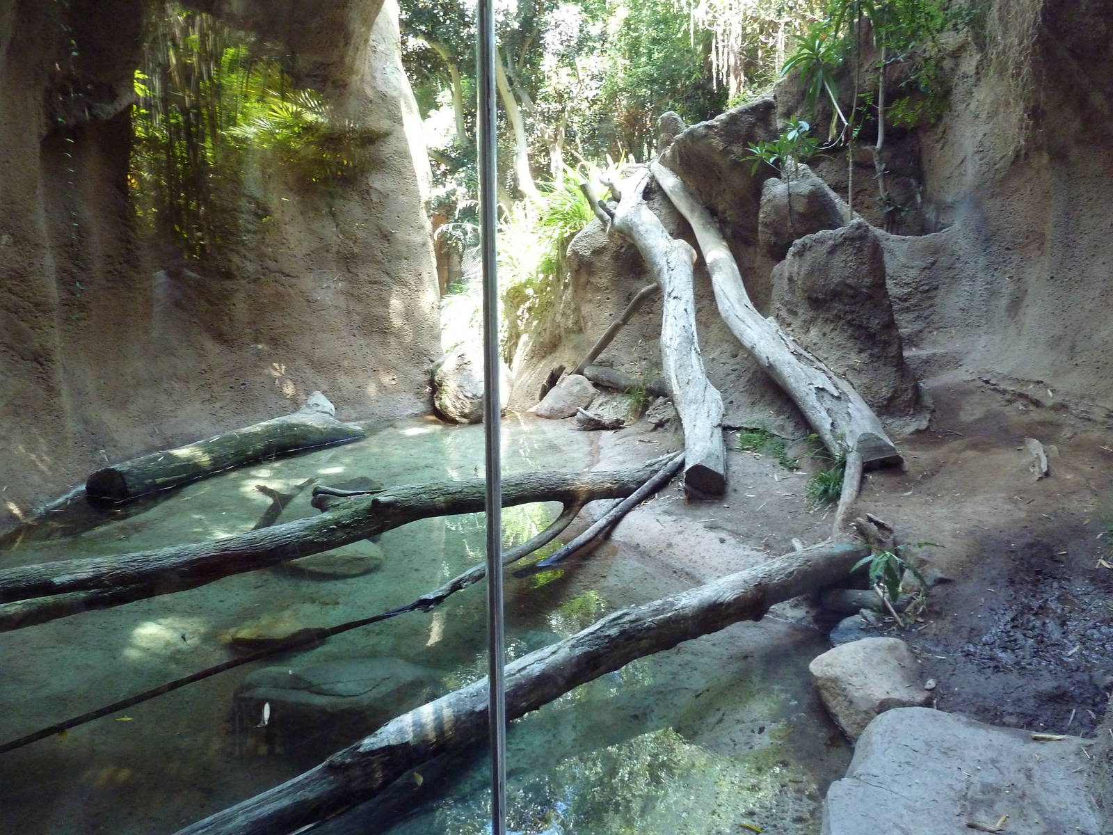 Malayan Tiger Exhibit