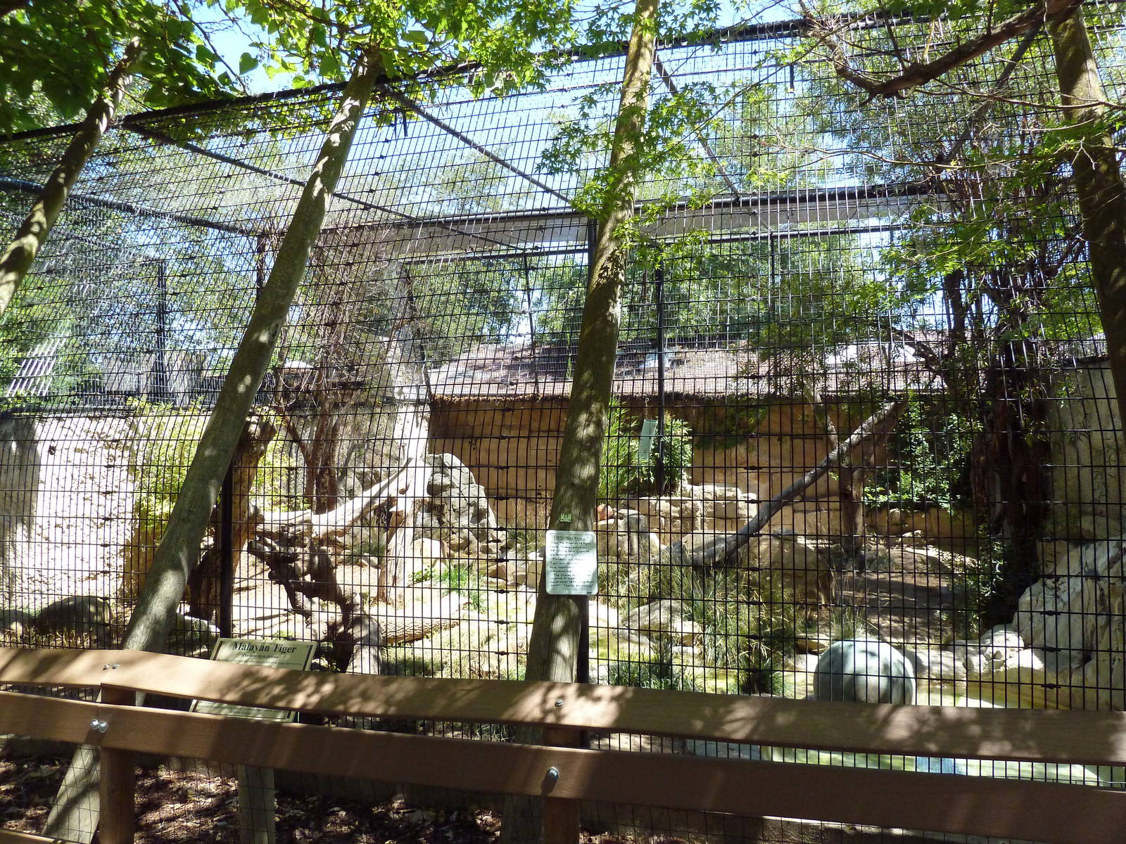 Malayan Tiger Exhibit