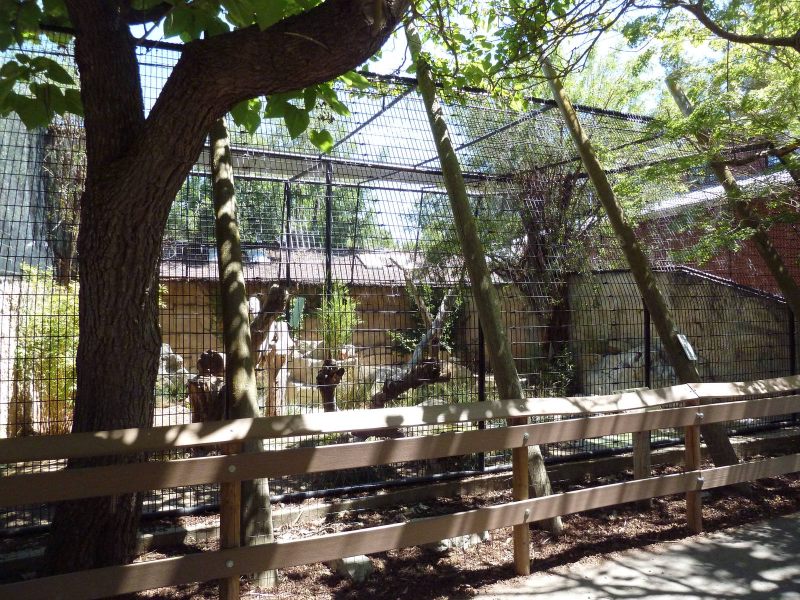 Malayan Tiger Exhibit