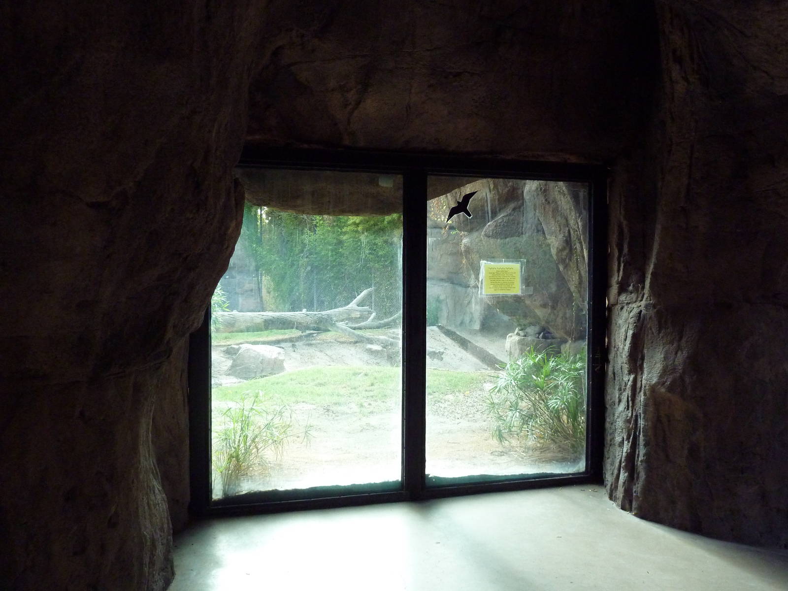 Malayan Tiger Exhibit