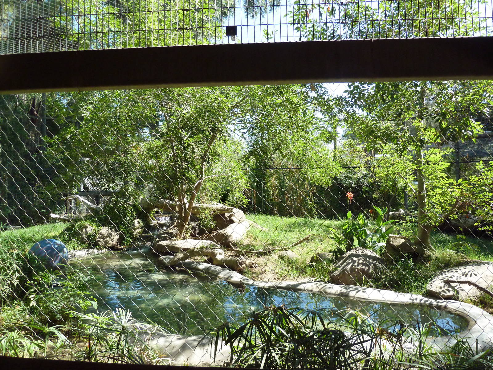 Malayan Tiger Exhibit