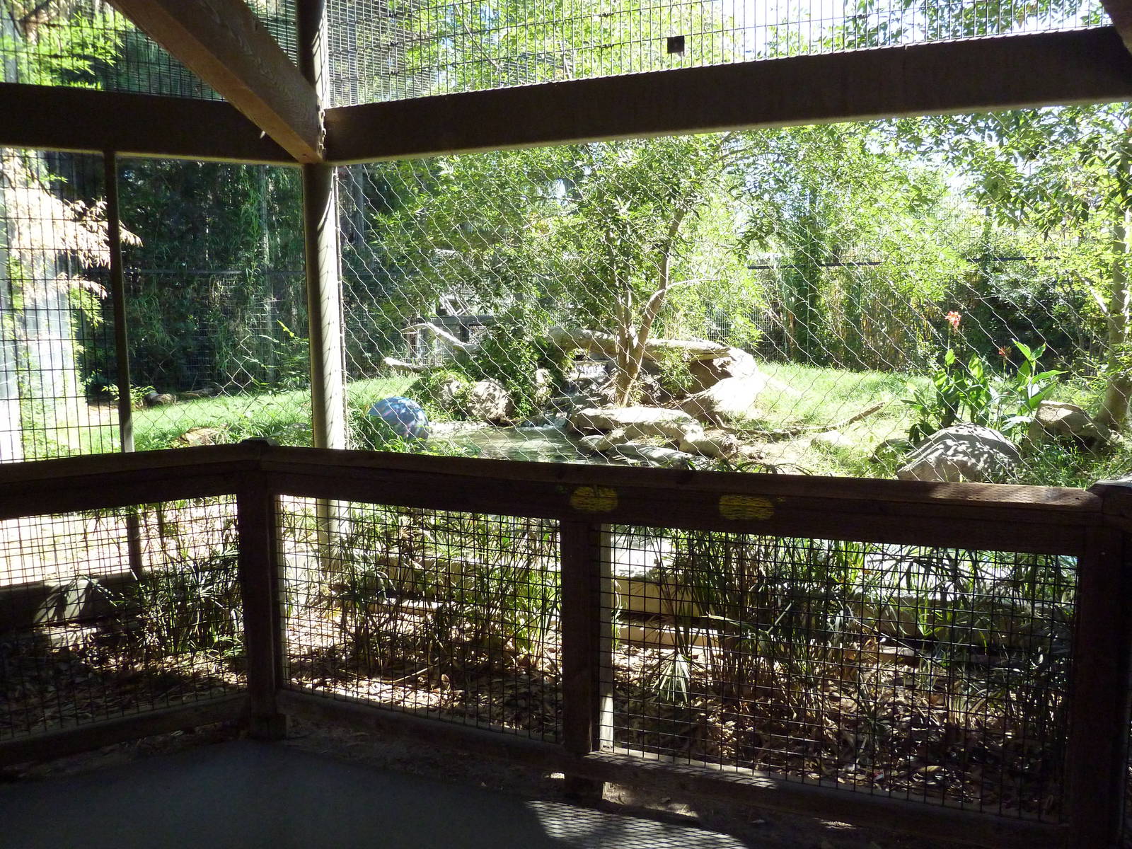 Malayan Tiger Exhibit