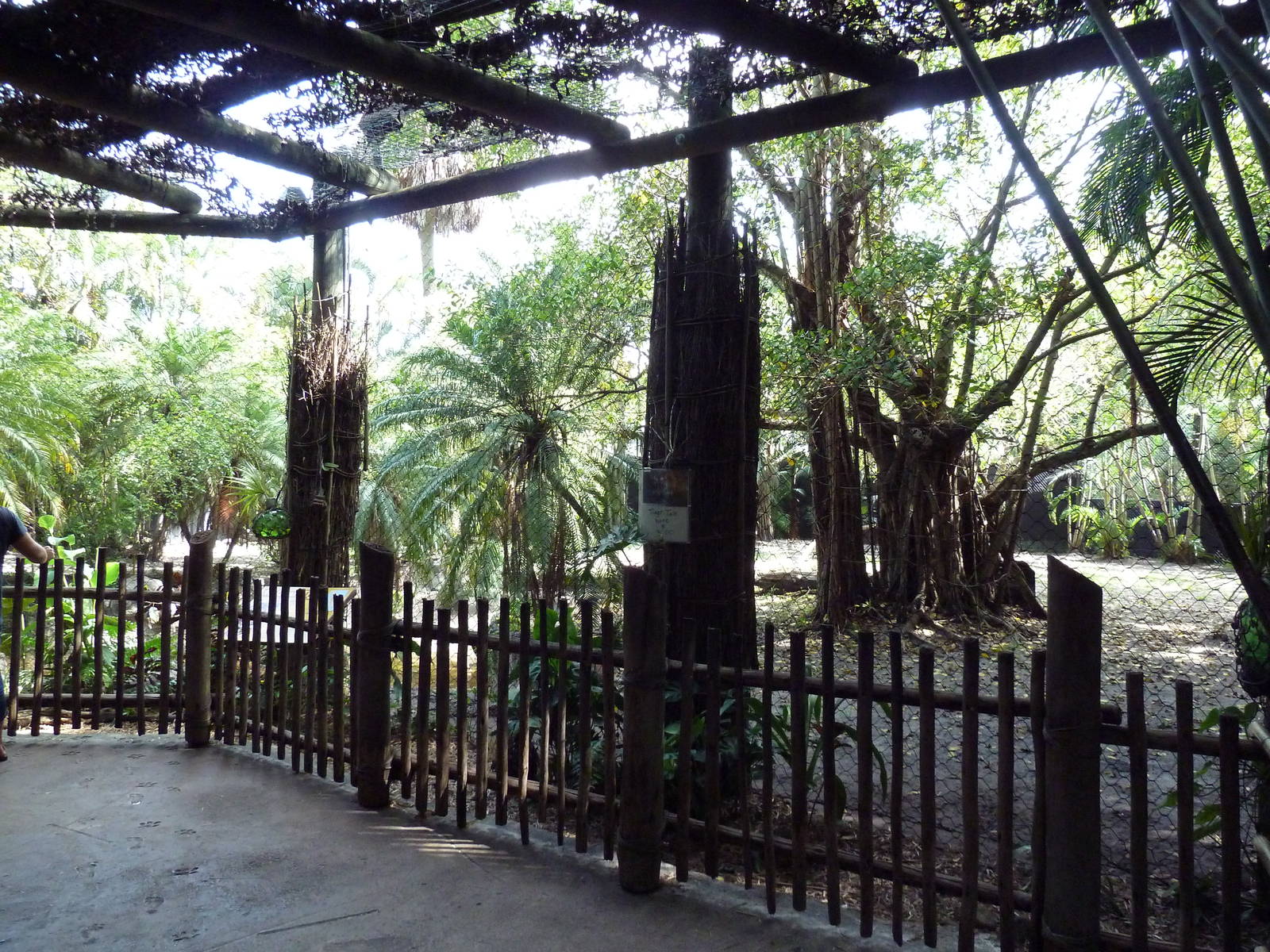 Malayan Tiger Exhibit