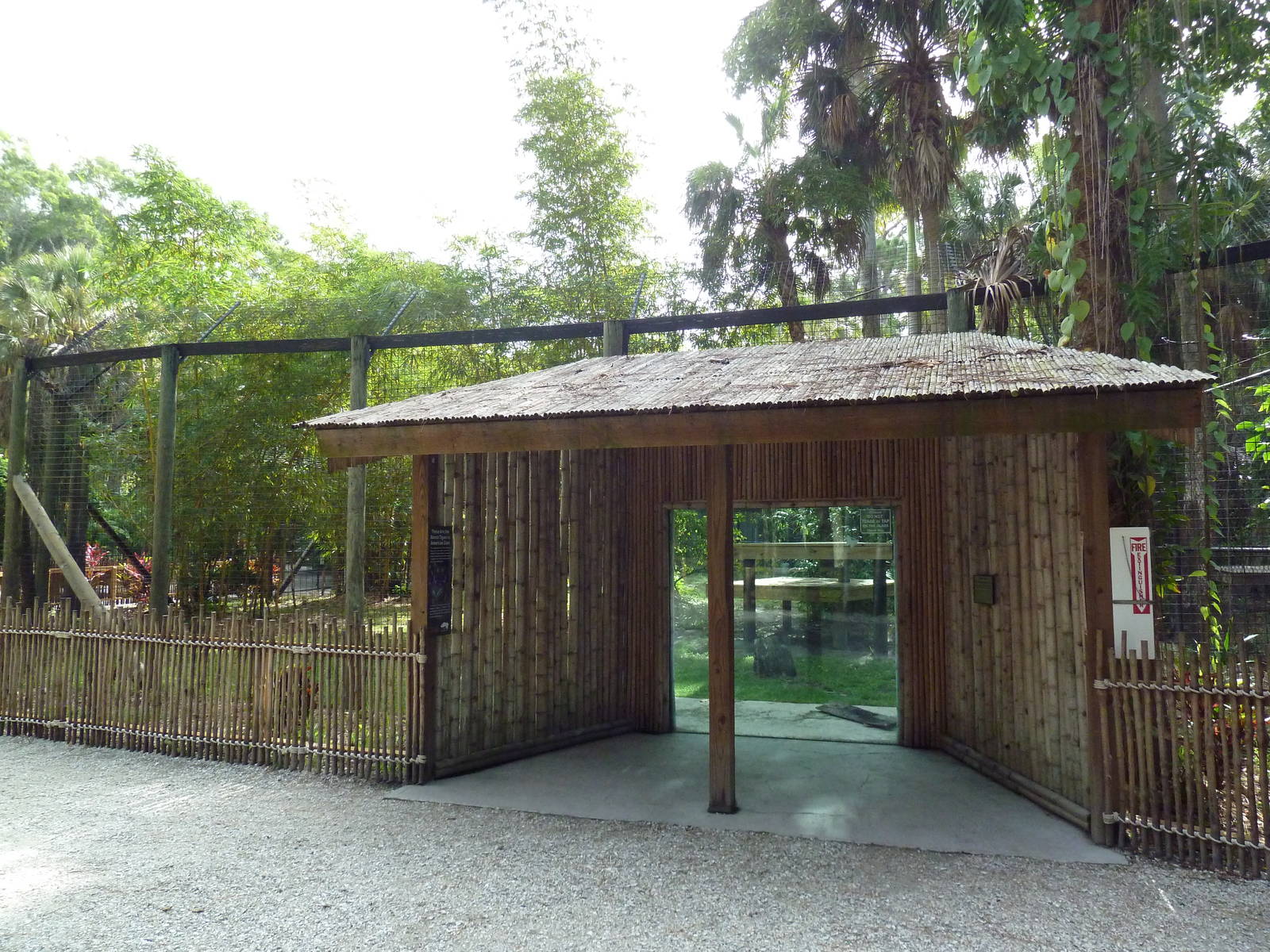 Malayan Tiger Exhibit