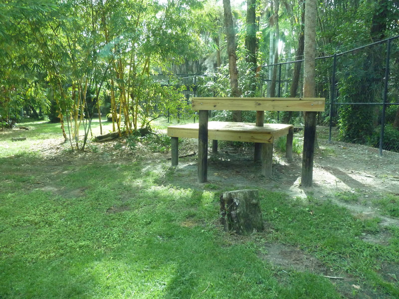 Malayan Tiger Exhibit