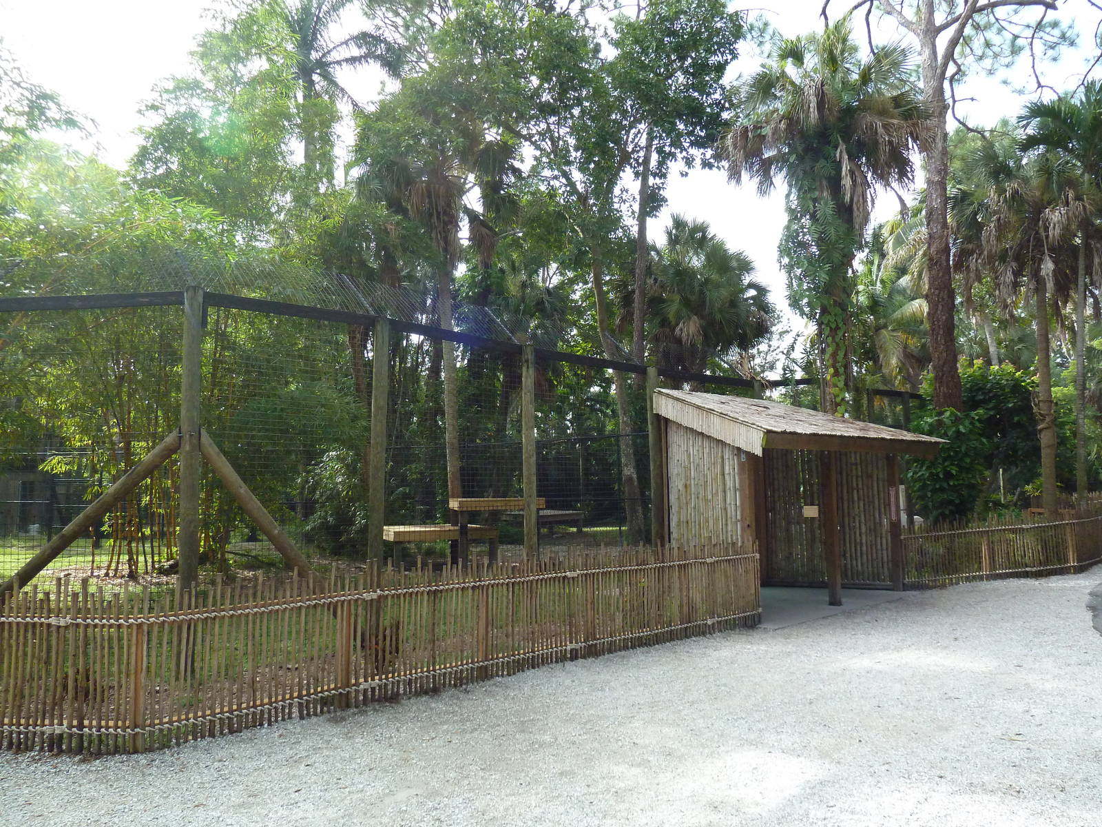 Malayan Tiger Exhibit