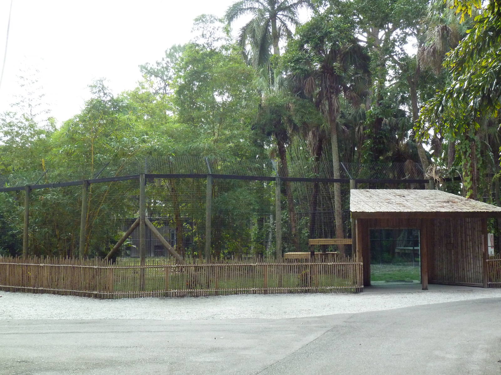 Malayan Tiger Exhibit