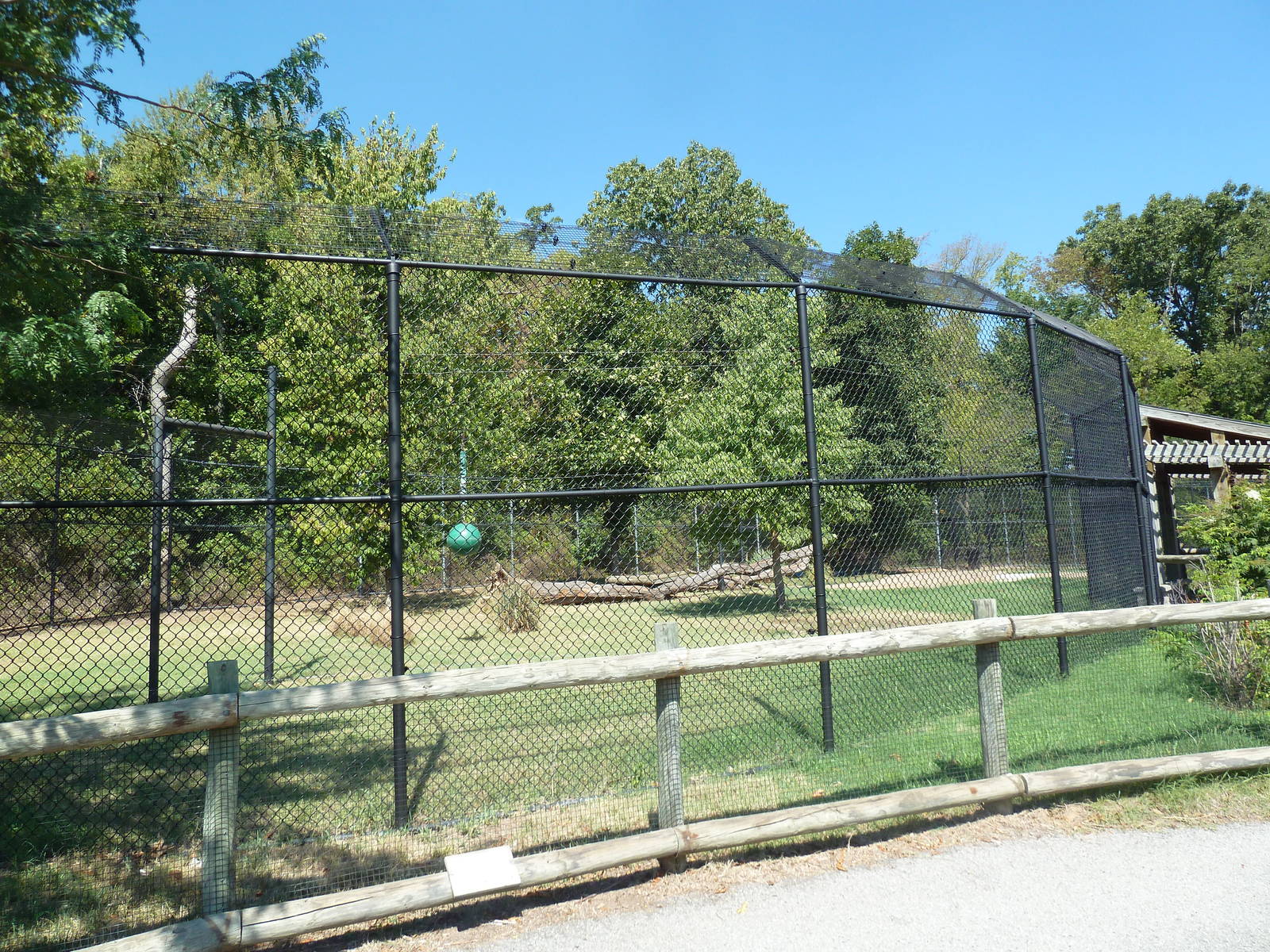 Malayan Tiger Exhibit