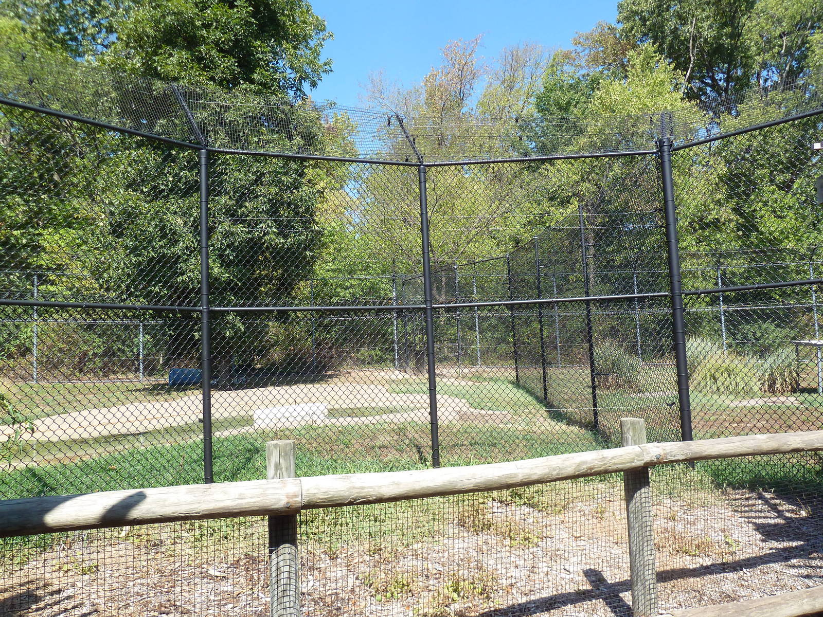 Malayan Tiger Exhibit