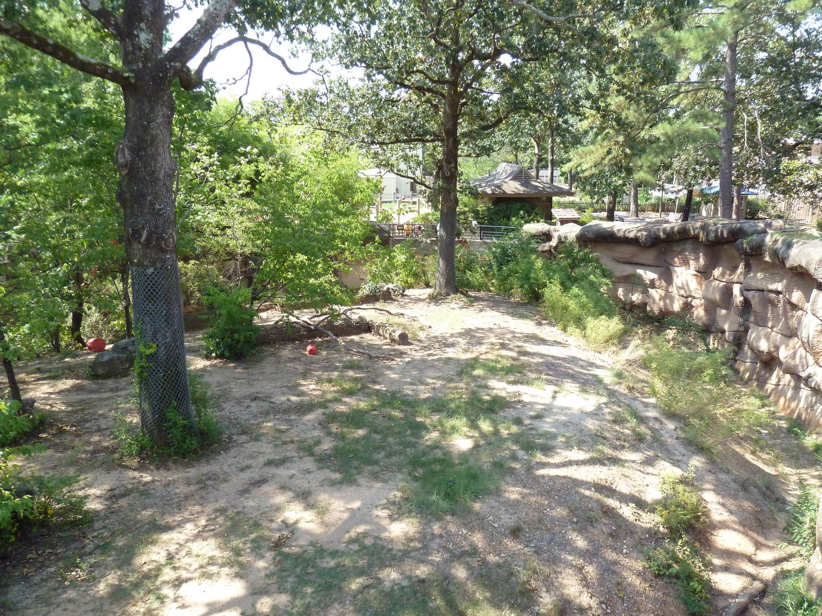 Malayan Tiger Exhibit