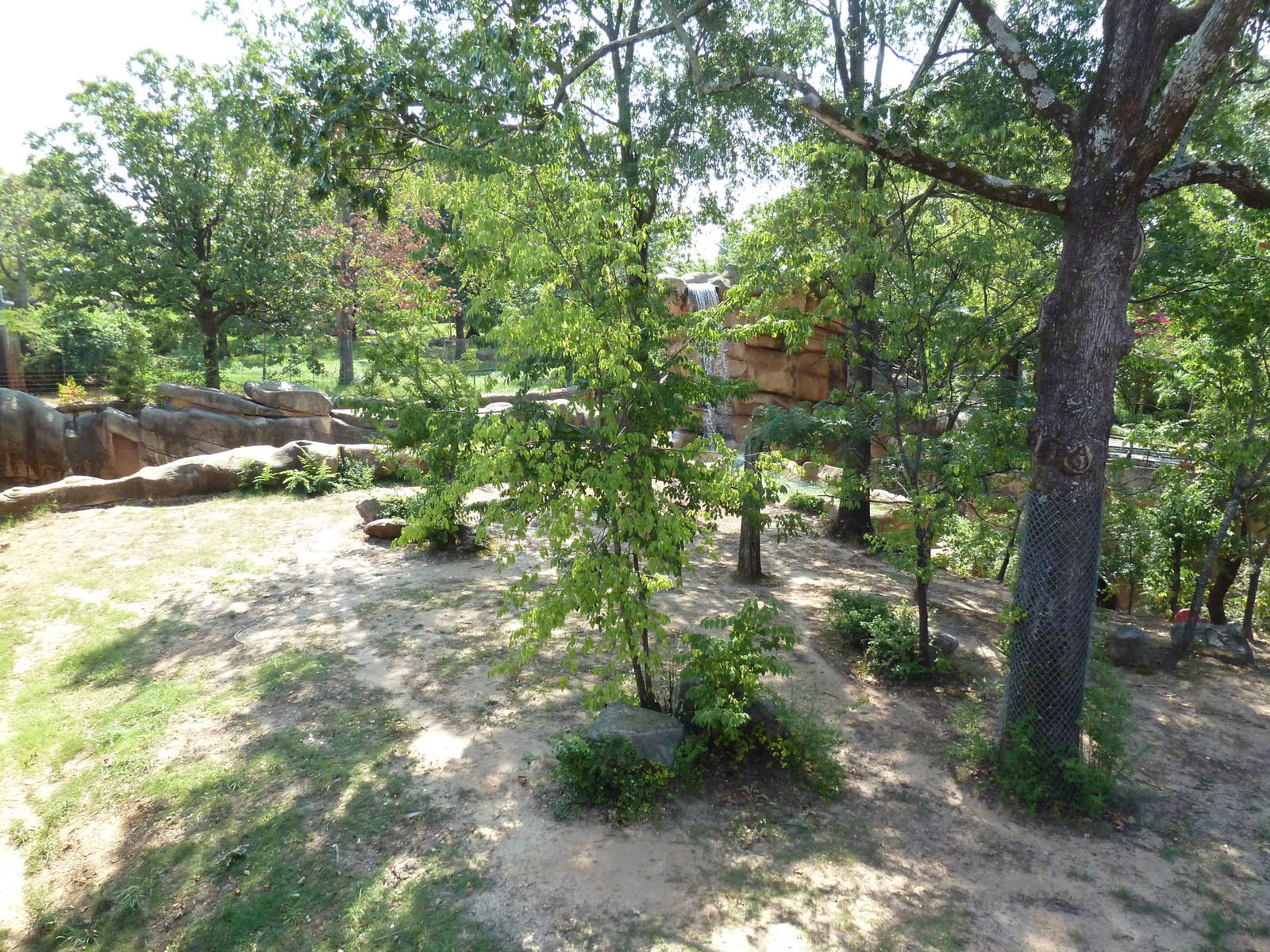 Malayan Tiger Exhibit