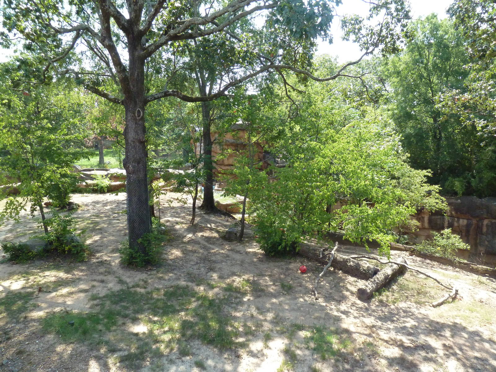 Malayan Tiger Exhibit