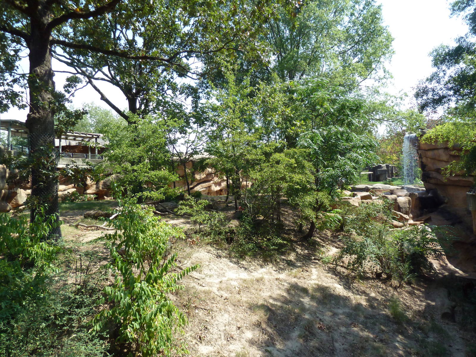 Malayan Tiger Exhibit