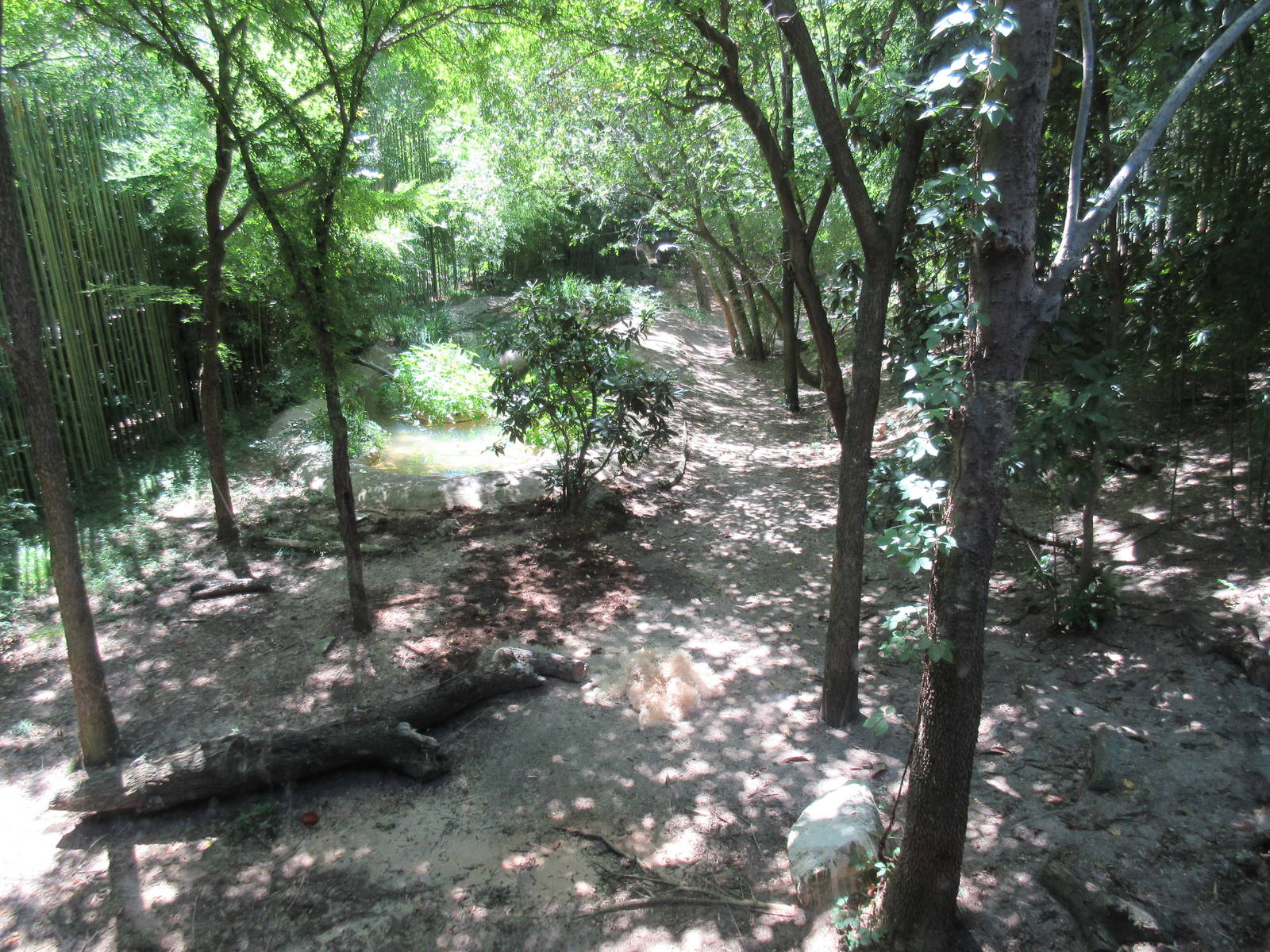 Malayan Tiger Exhibit