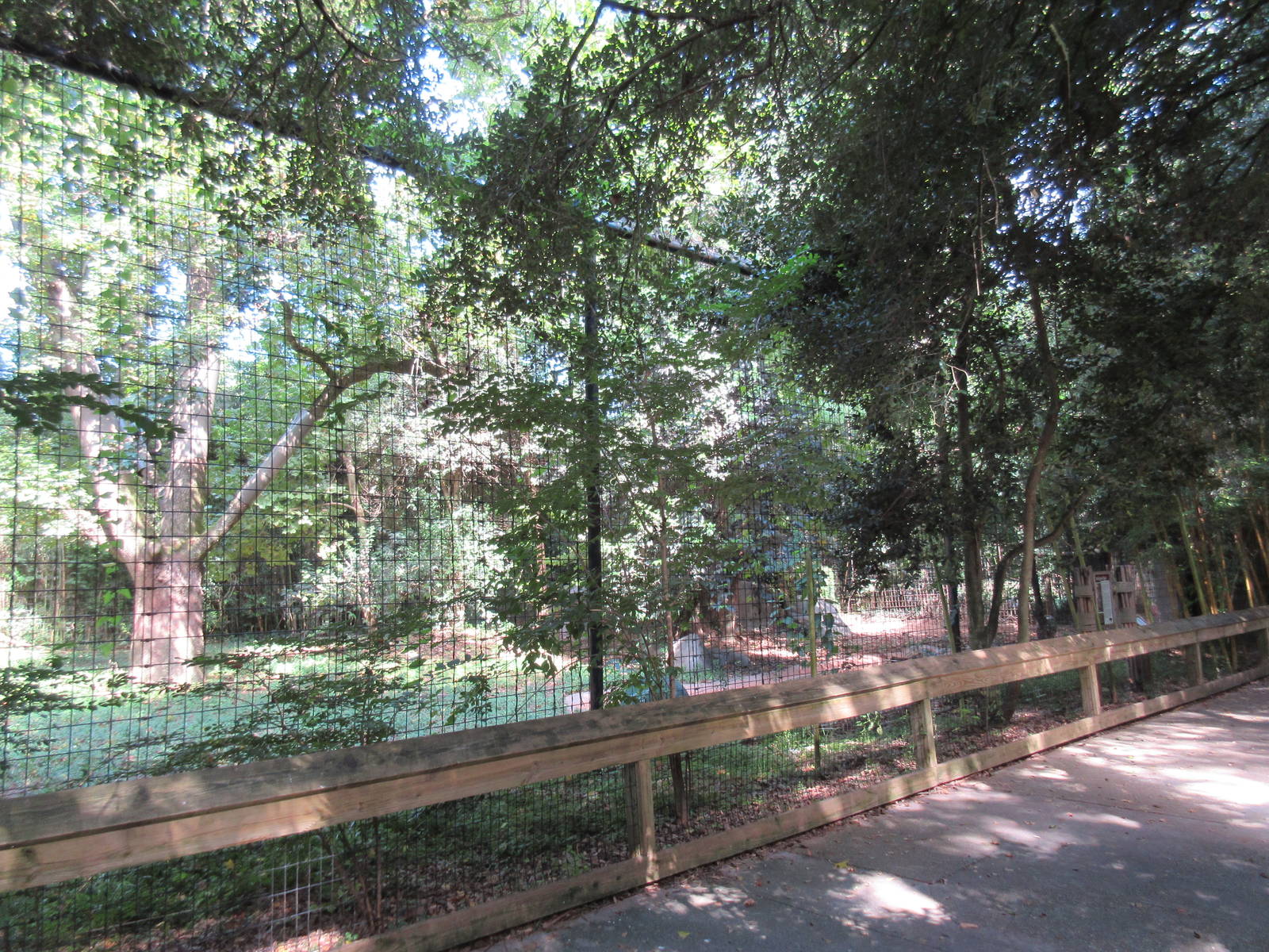 Malayan Tiger Exhibit