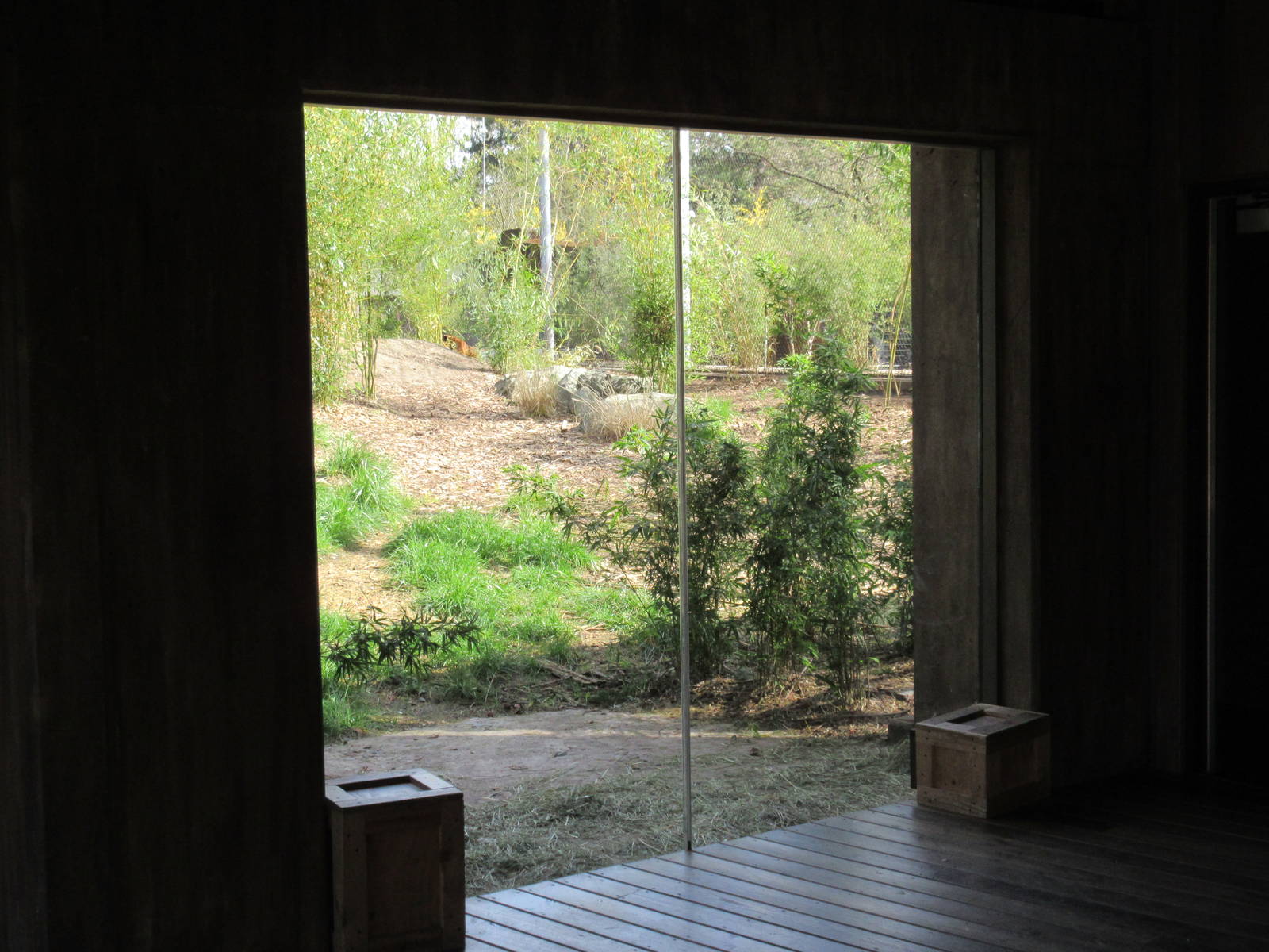Malayan Tiger Exhibit