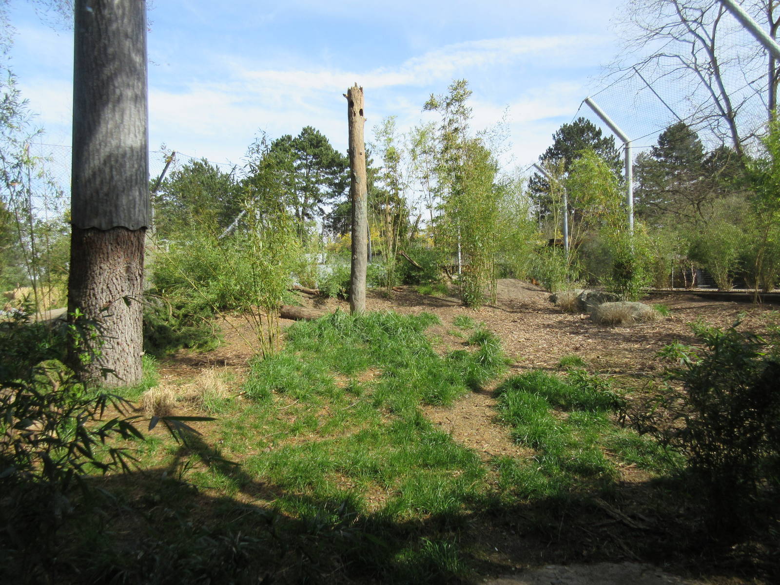 Malayan Tiger Exhibit