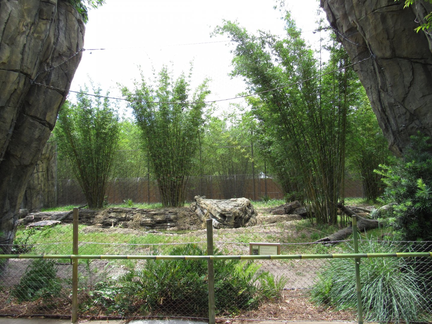 Malayan Tiger Exhibit