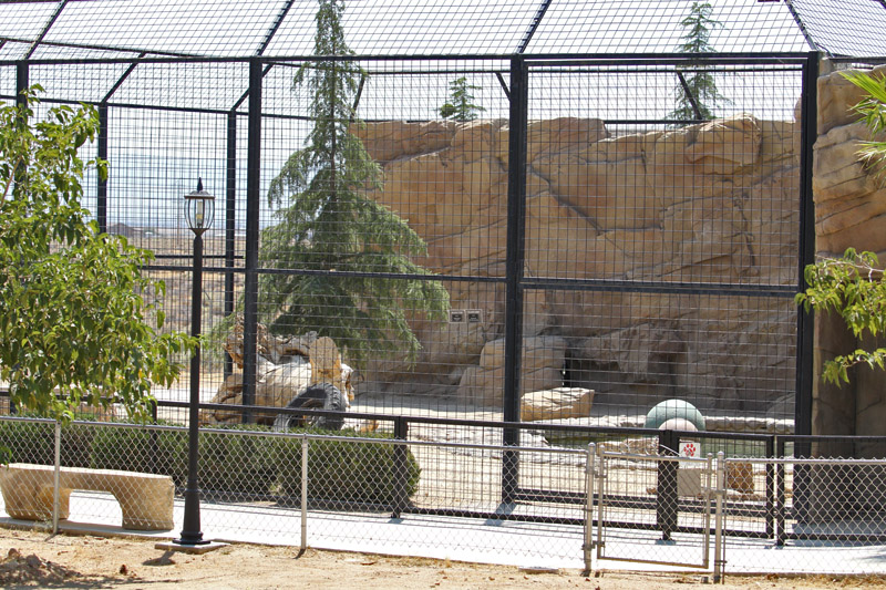 Malayan tiger exhibit